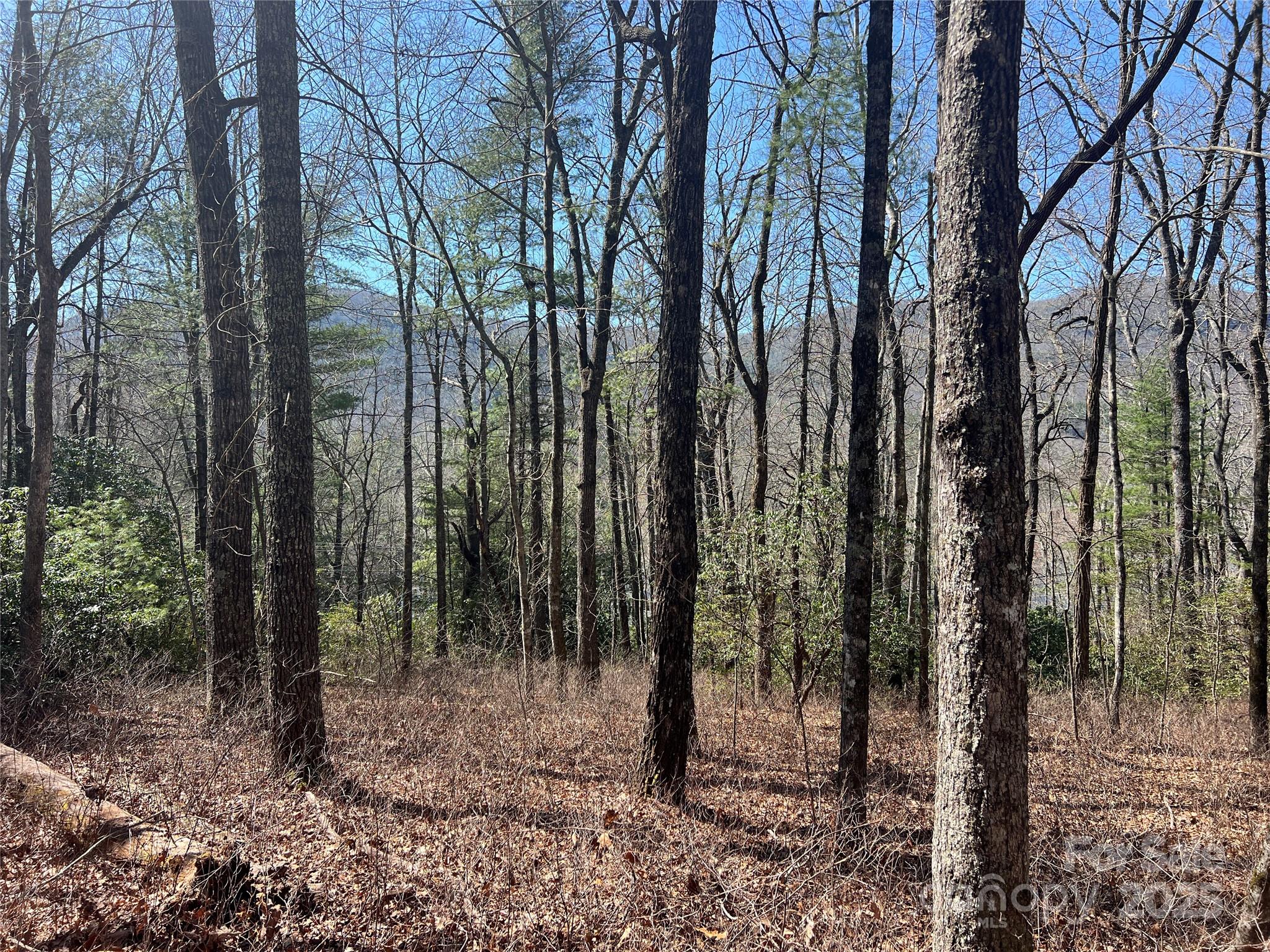 Lake Toxaway Estates - Land