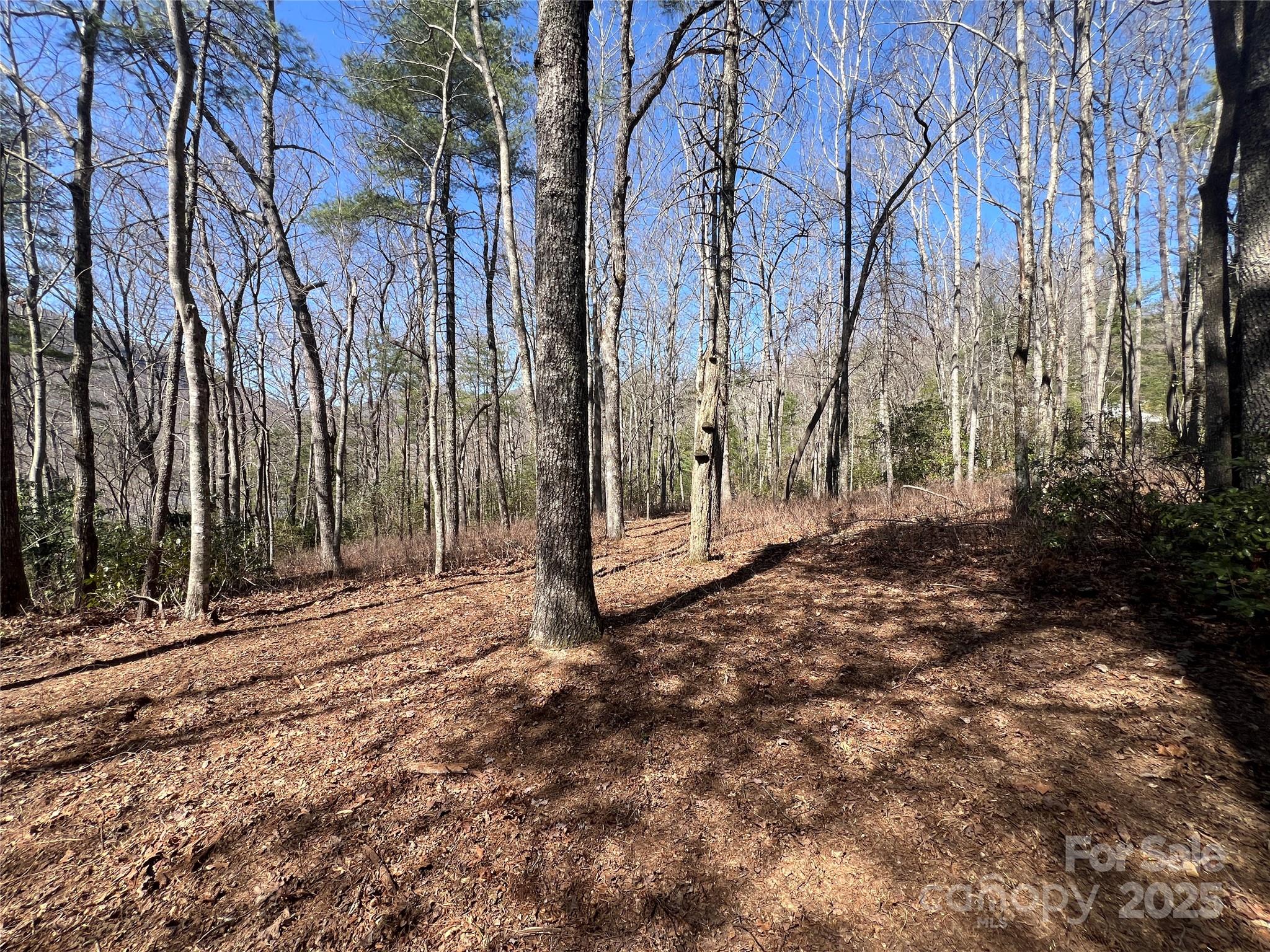 Lake Toxaway Estates - Land