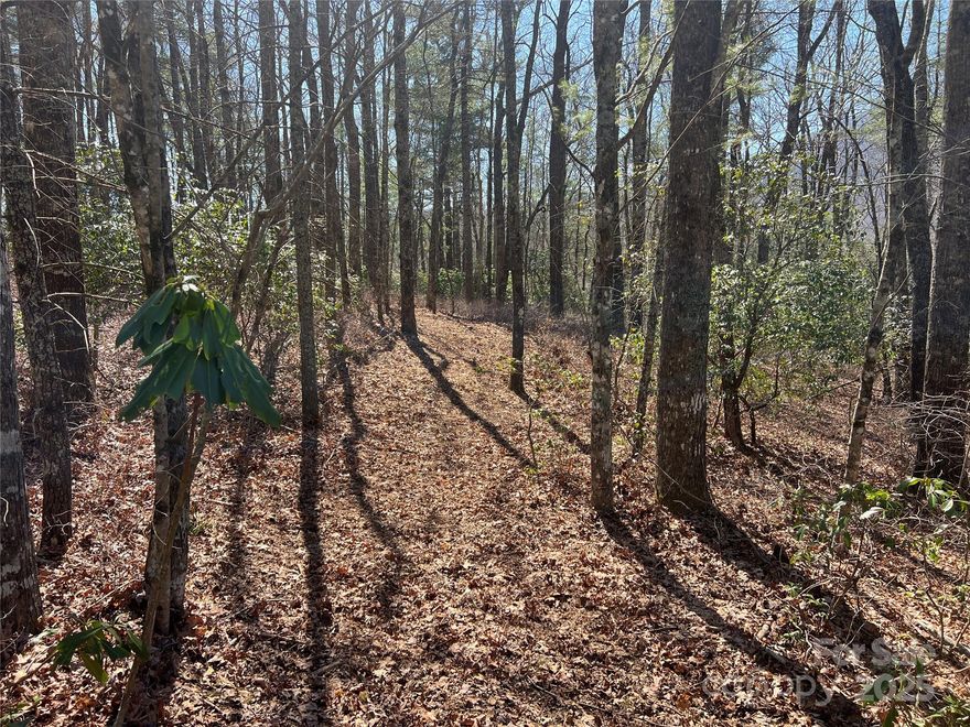 This exceptional corner lot in Lake Toxaway, NC, presents an ideal opportunity to construct your desired mountain retreat. Featuring gentle slopes and potential for breathtaking views, this Panther Ridge Road property is ready for you. The privacy and tranquility offered by the native hardwoods, rhododendron, and mountain laurel enhance the appeal. Furthermore, the proximity to the Lake Toxaway Country Club (LTCC membership based on application and availability) and its amenities, easily accessible by golf cart, provides the perfect balance of seclusion and convenience.