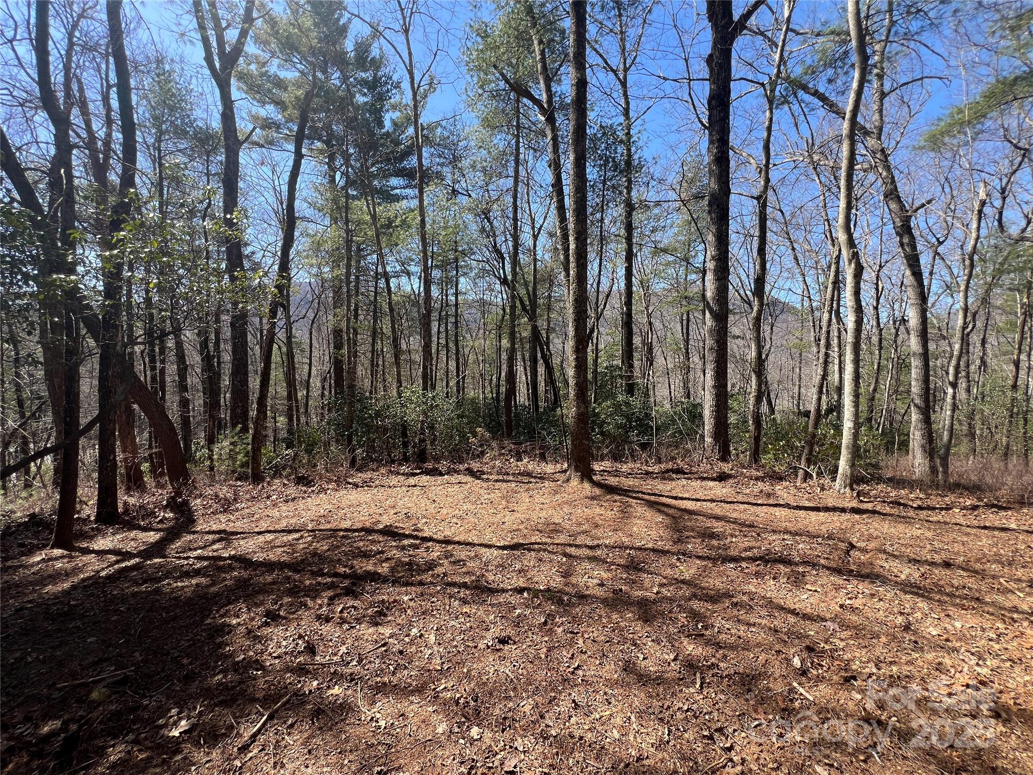 Lake Toxaway Estates - Land