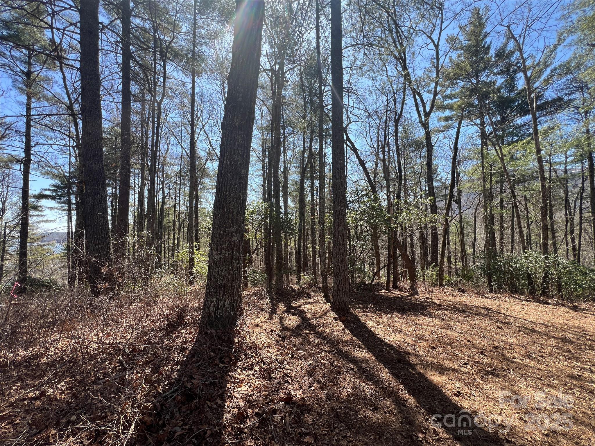 Lake Toxaway Estates - Land