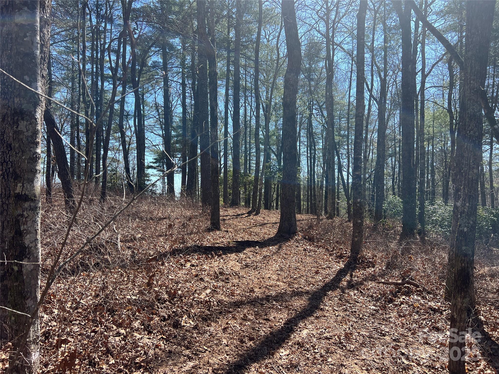 Lake Toxaway Estates - Land