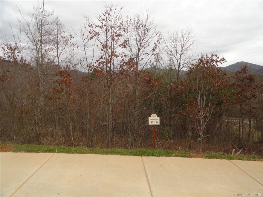 Asheville's Premier Neighborhood - The Thoms Estate! A total of 92 custom home lots in an up-scale community just a few blocks from the Country Club of Asheville and half a mile from Fresh Market, Ingles and other shopping. Lots range in size from approximately .25 acres to 1.6 acres. Architectural Review Committee to approve all custom home plans, landscaping and outside builders. Taxes to be determined in 2016 assessment.