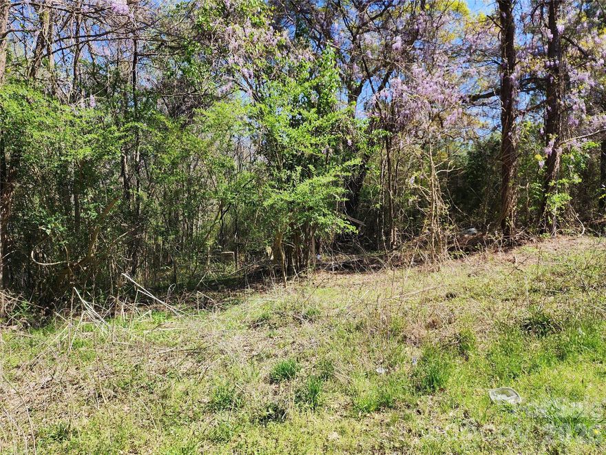 Come build your dream home on this large lot - 1.297 acres.  Zoning will allow modular but not mobile home.  It could also be used for a multifamily dwelling.  Water is at the street and has been run to the property but the meter has been removed per owner.  The property has an old septic system from a previous home but the location is unknown and it should be assumed that a new system will be needed.  Lot is a short drive from the new waterpark.  Come check it out today!