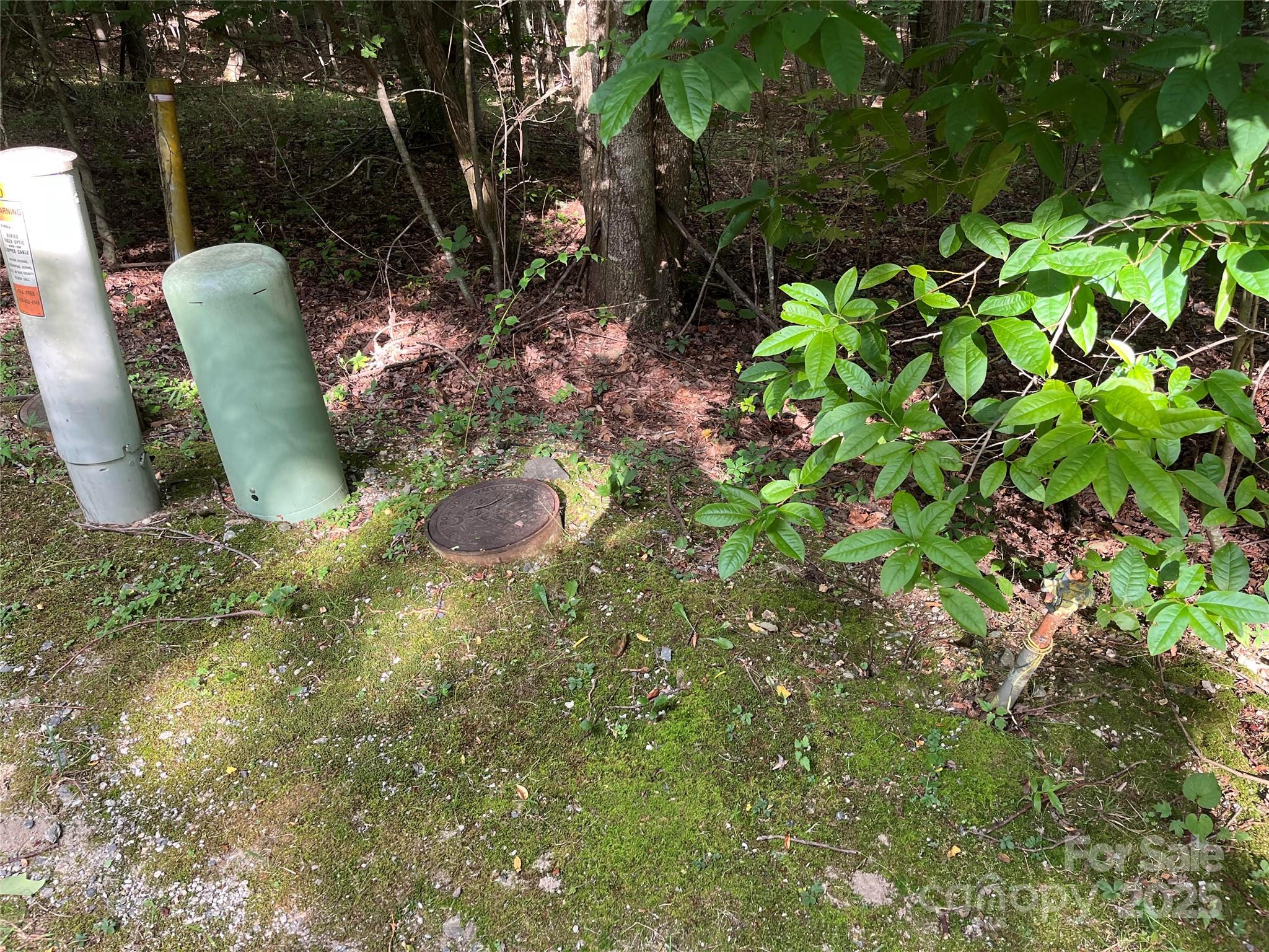 185 Ladys Fern Trail 8-G