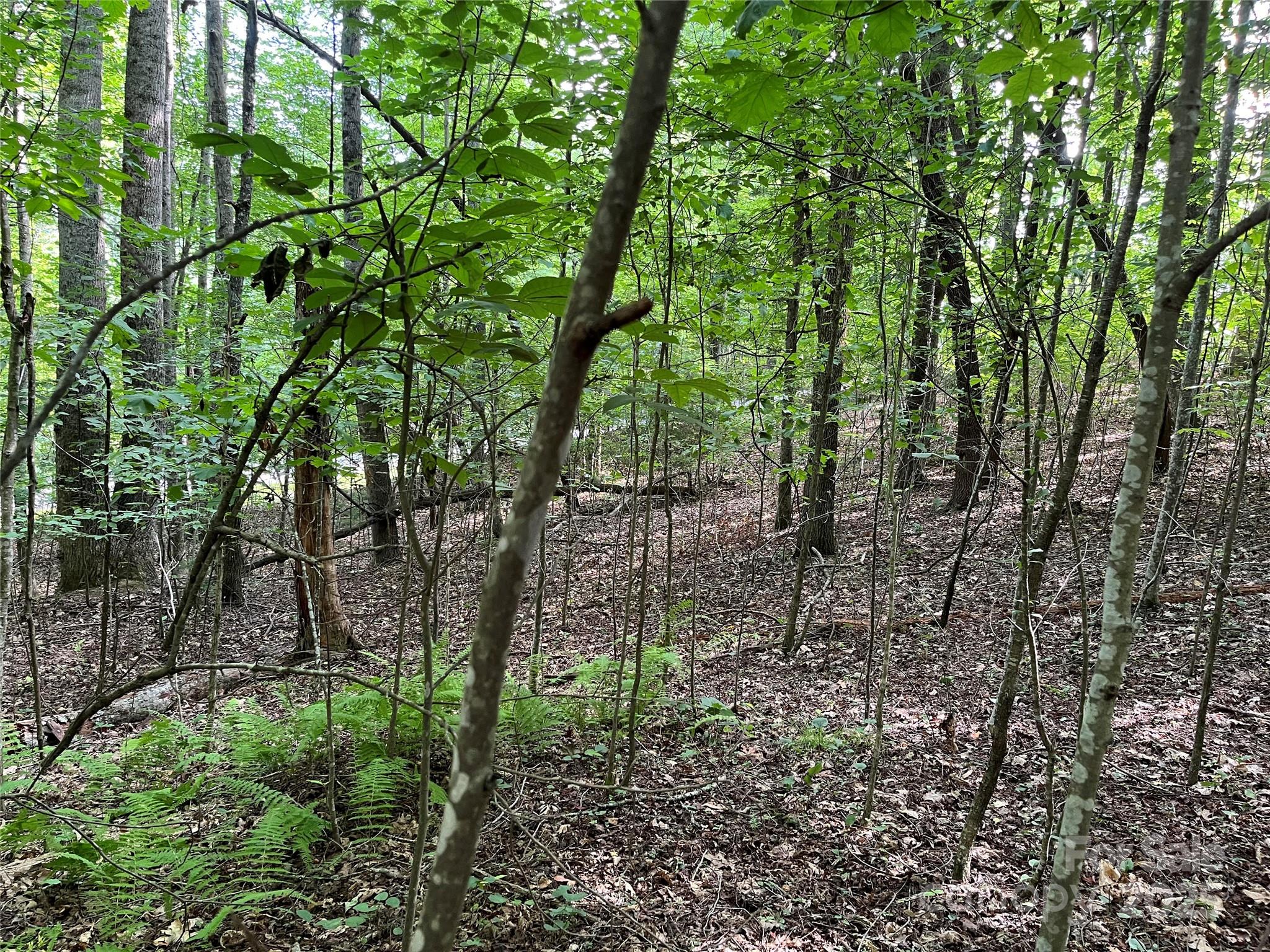 185 Ladys Fern Trail 8-G