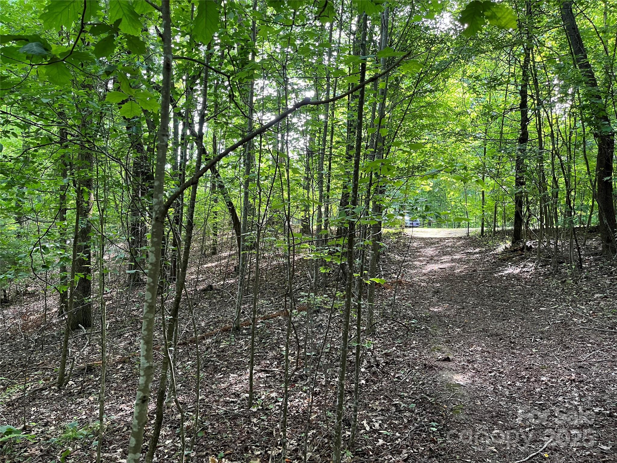 185 Ladys Fern Trail 8-G