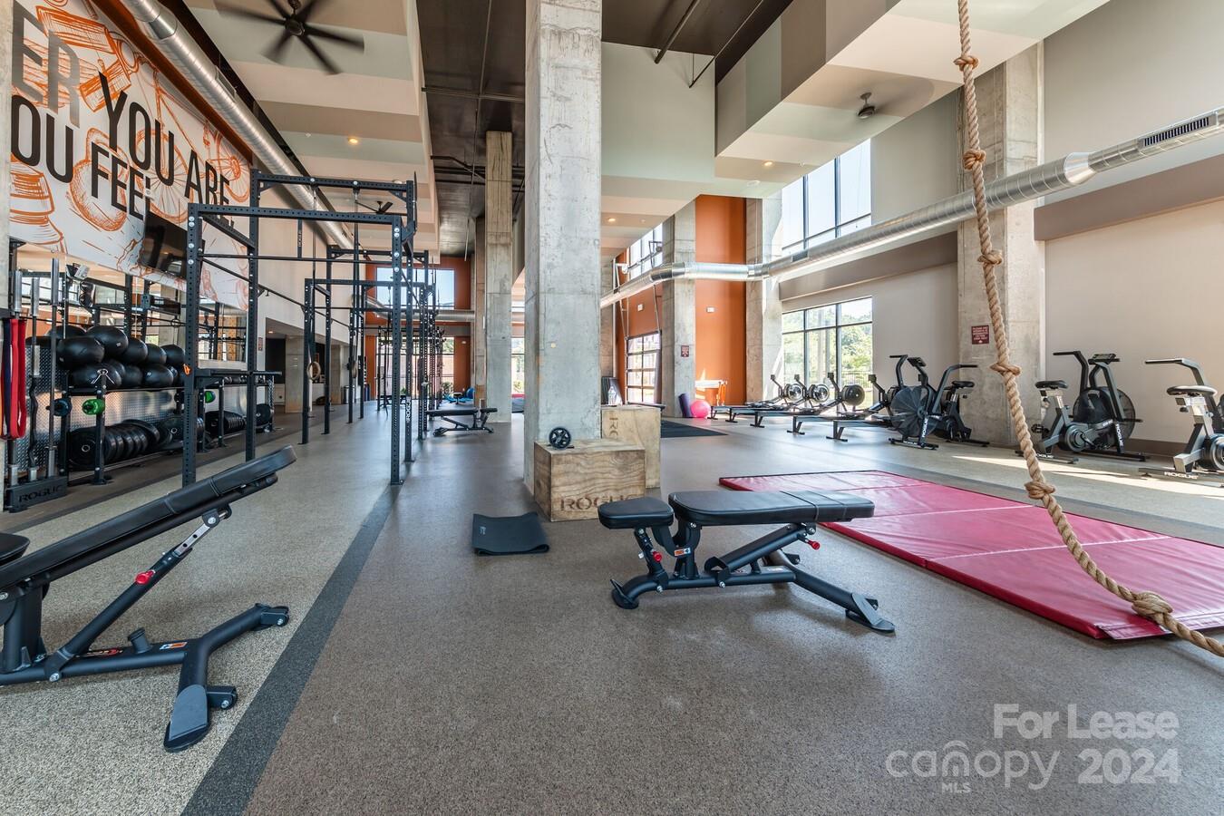 Charlotte, North Carolina 28205, United States, 1 Bedroom Bedrooms, ,1 BathroomBathrooms,Residential,Active,62880