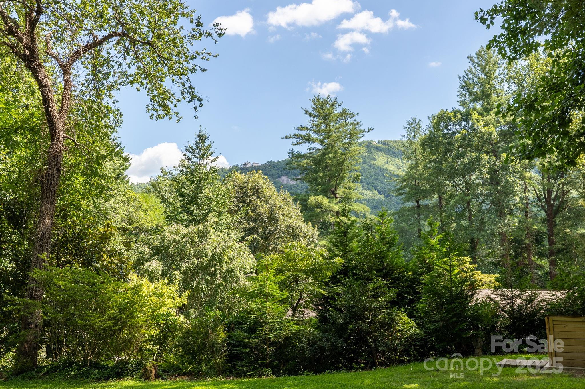 103 E White Pine Road
