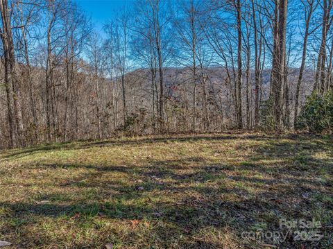 99999 Walnut Creek Road Marshall NC 28753