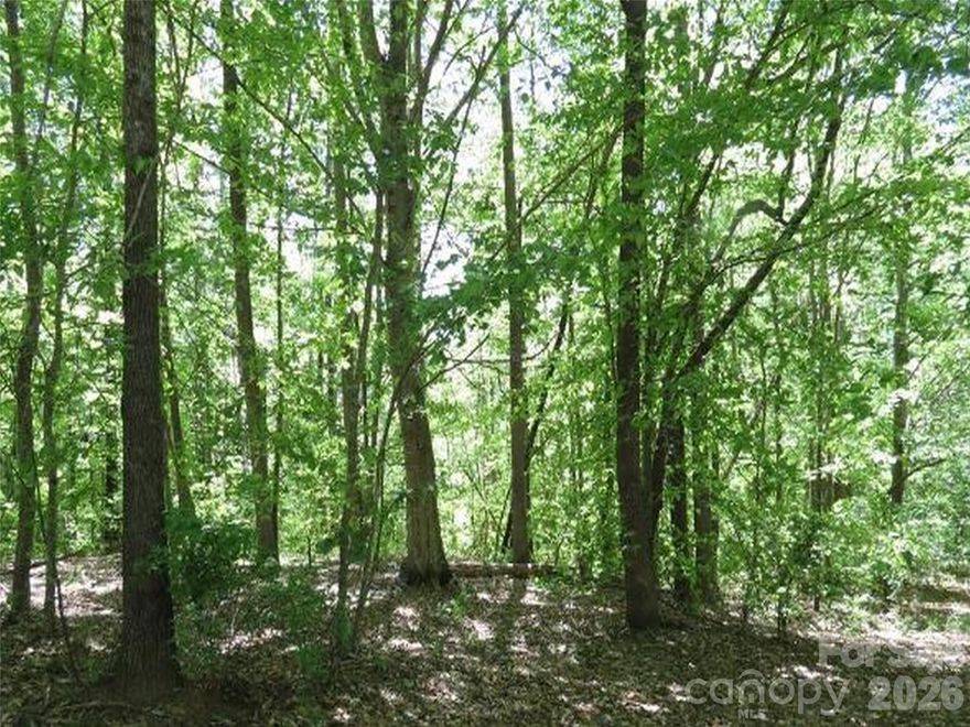 Back on the market and no fault of the seller.
Come see this wonderful lot in Rutherford Towne. This nice neighborhood has manicured lawns with well maintained homes. Offering a lot to build on that won't require much grading that is close to local amenities of historic Rutherfordton, Forest City and Tryon Equestrian Center. Only a short drive to I-74.