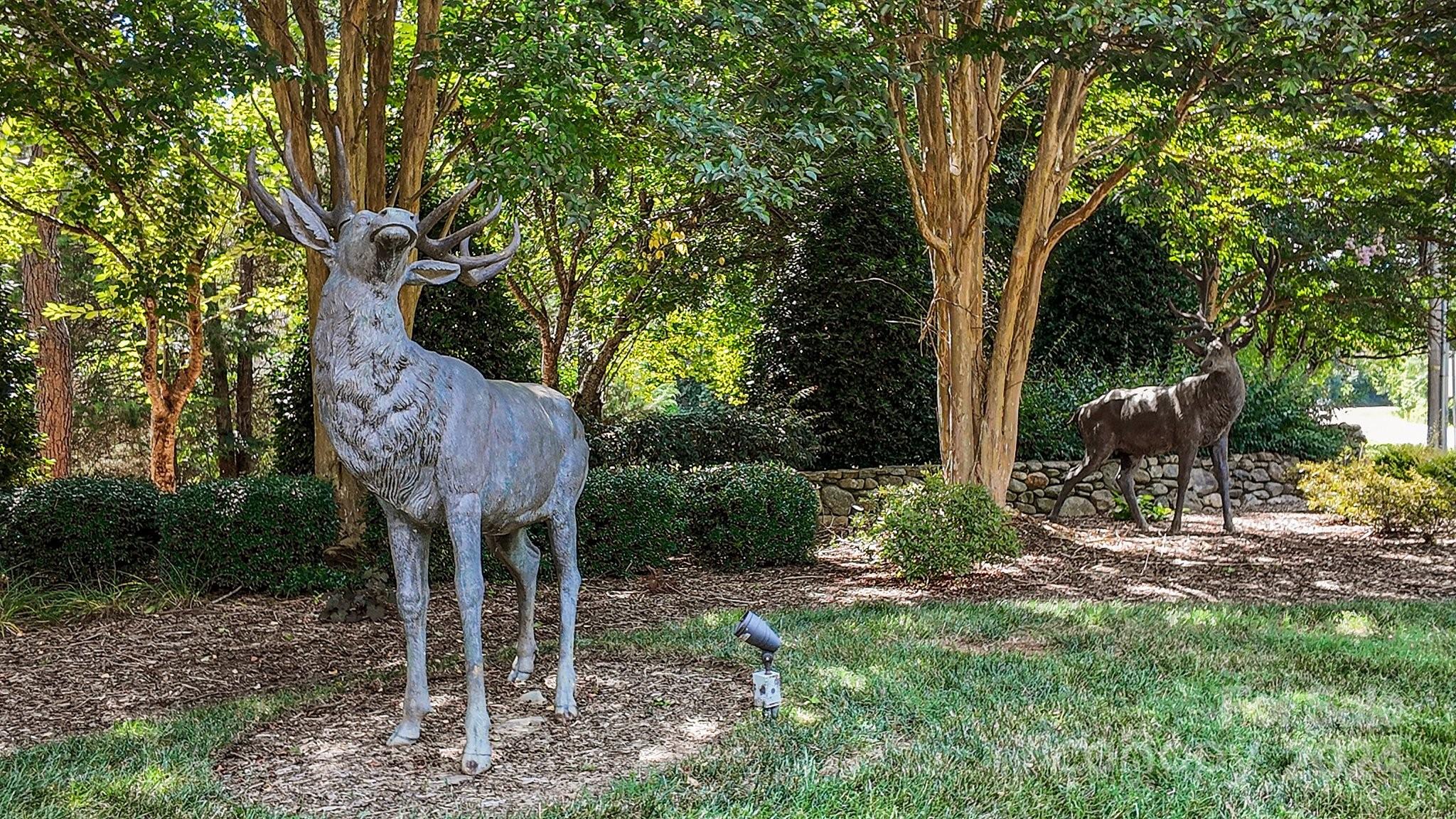 Latta Springs - Residential