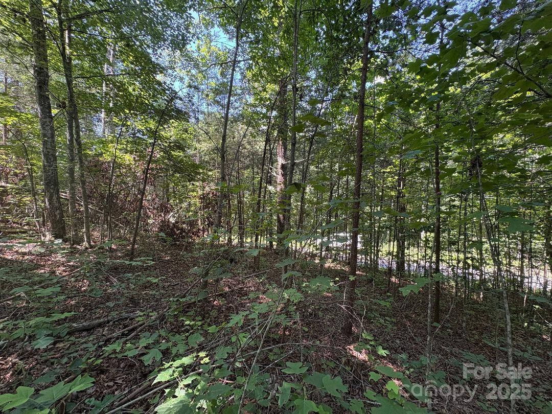 Lot 13 Wildflower Way