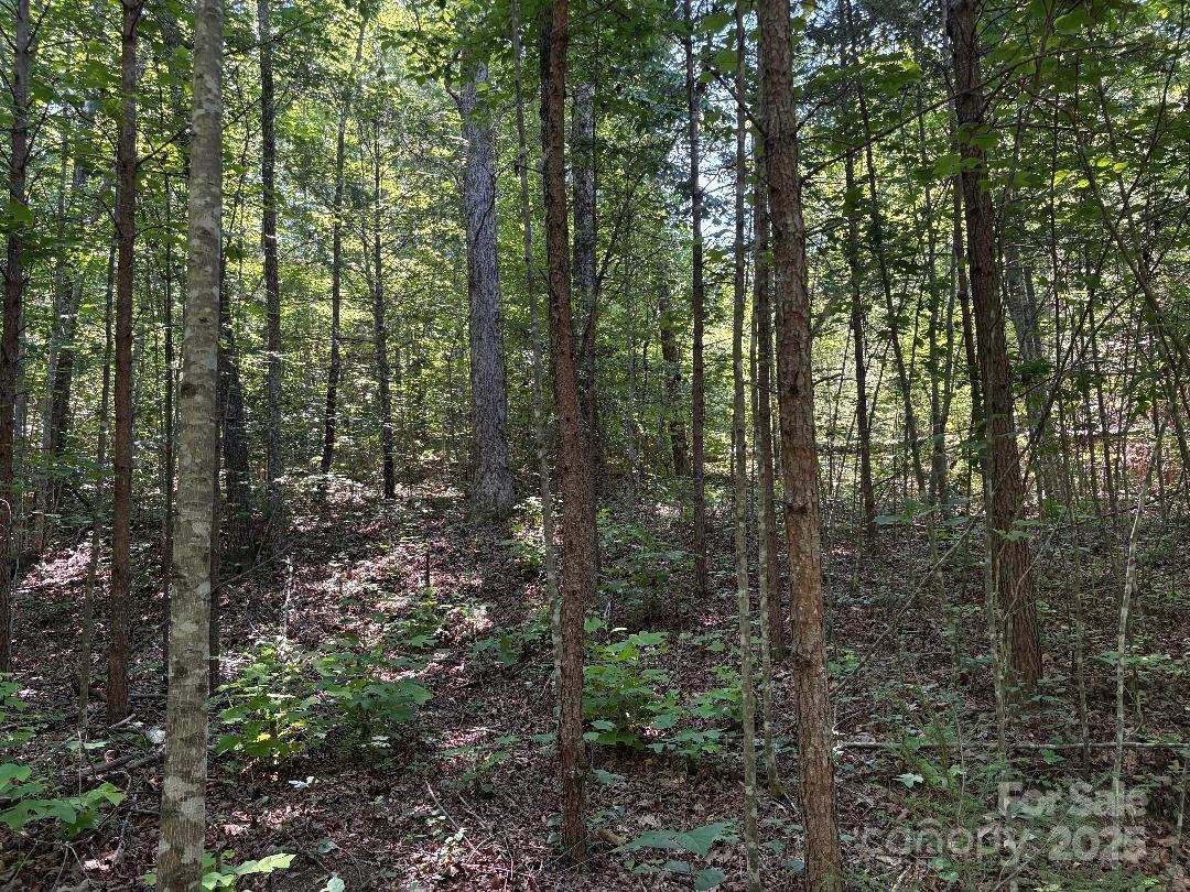 Lot 13 Wildflower Way