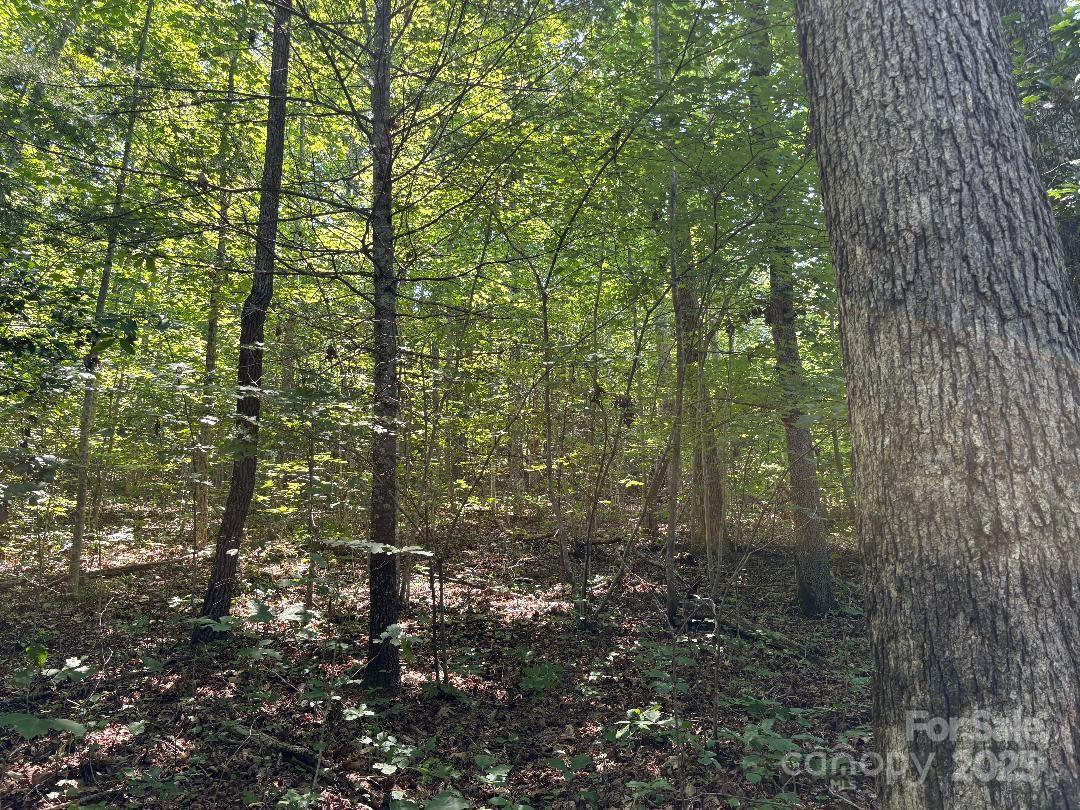 The Views at Woodland Hills - Land