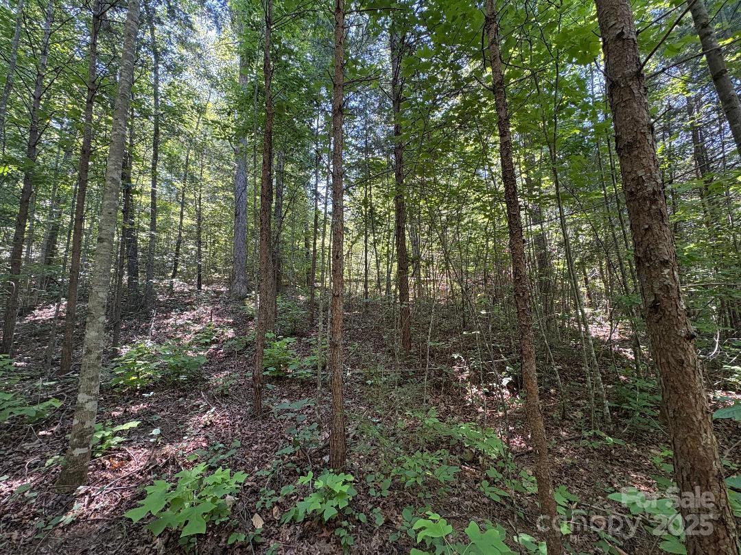 Lot 13 Wildflower Way