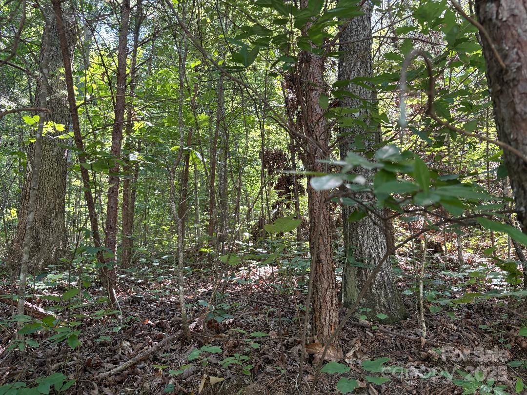 The Views at Woodland Hills - Land