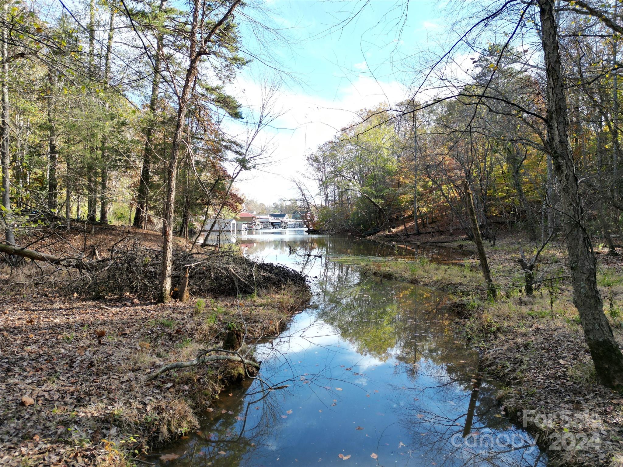 Reflection Pointe - Land