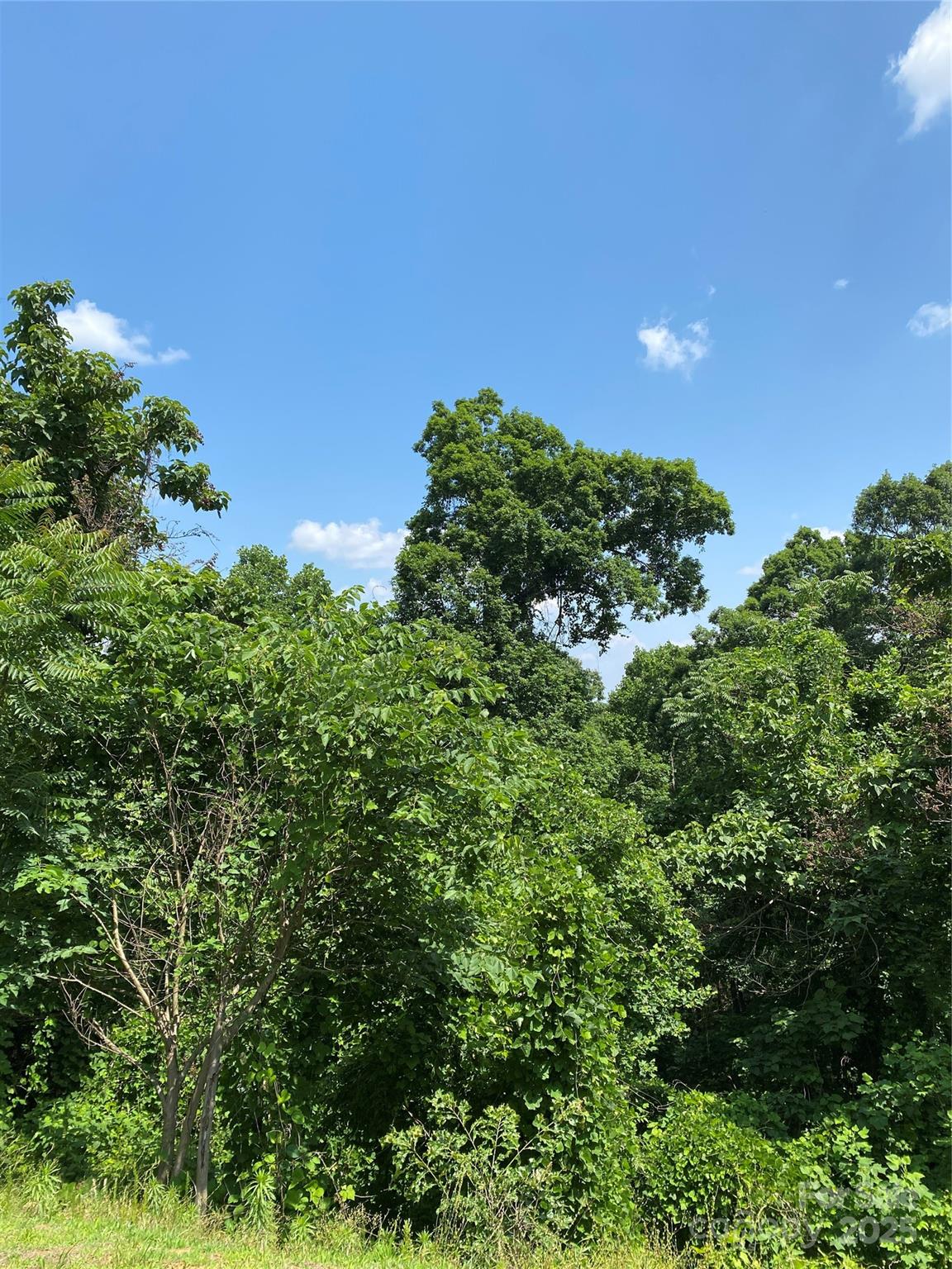 Highlands of Lake Lure - Land
