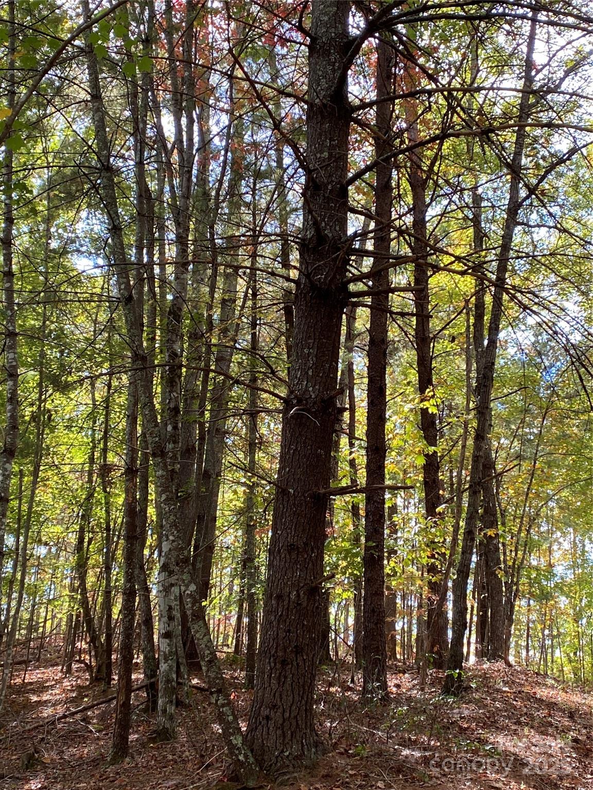 Lot 13 Highlands Drive