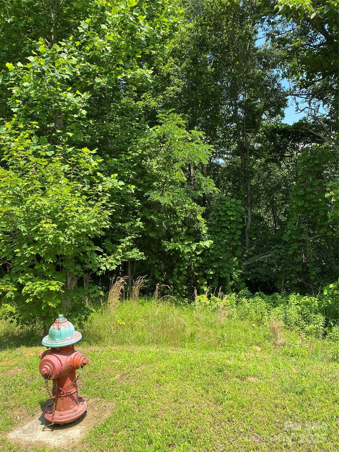 Highlands of Lake Lure - Land