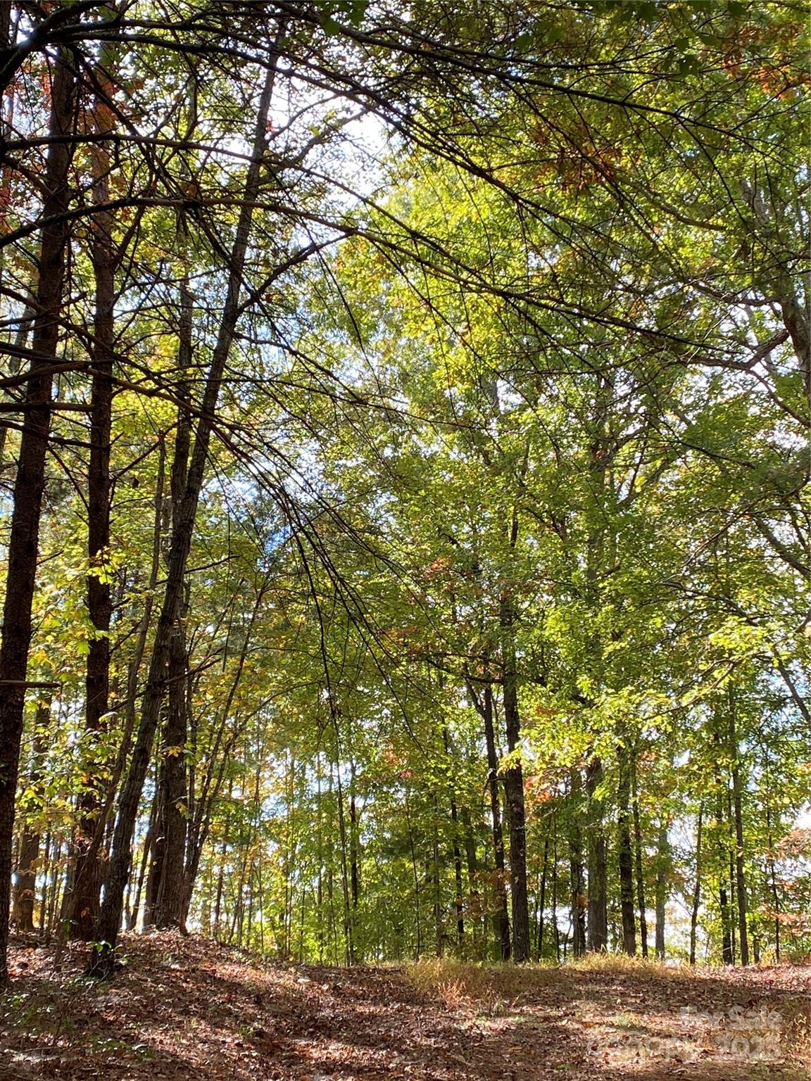 Lot 13 Highlands Drive