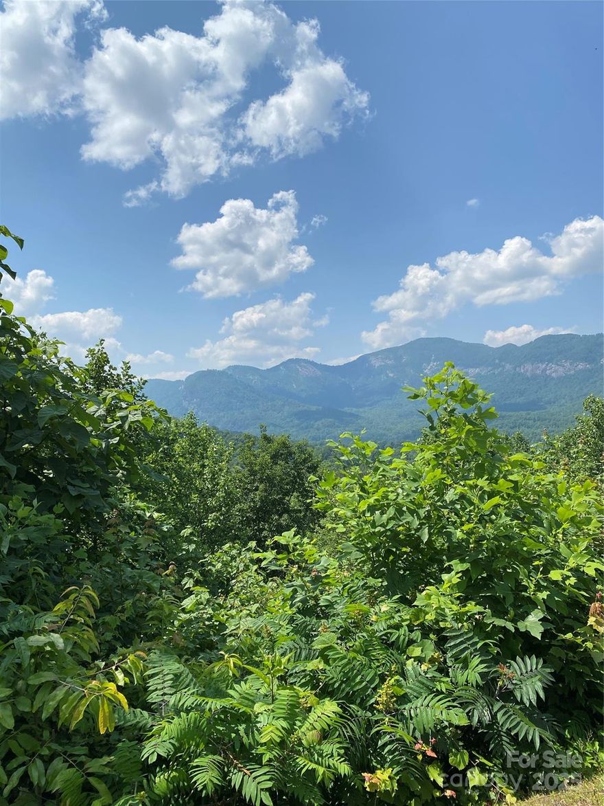 Beautiful sloping lot in Highlands of Lake Lure. Close to Lake Lure, restaurants, medical facility and schools. Minutes to everything Lake Lure has to offer. Within an hour of Asheville, Black Mountain and Historic Rutherfordton. Tryon horse country and the Tryon International Equestrian Center are closeby.