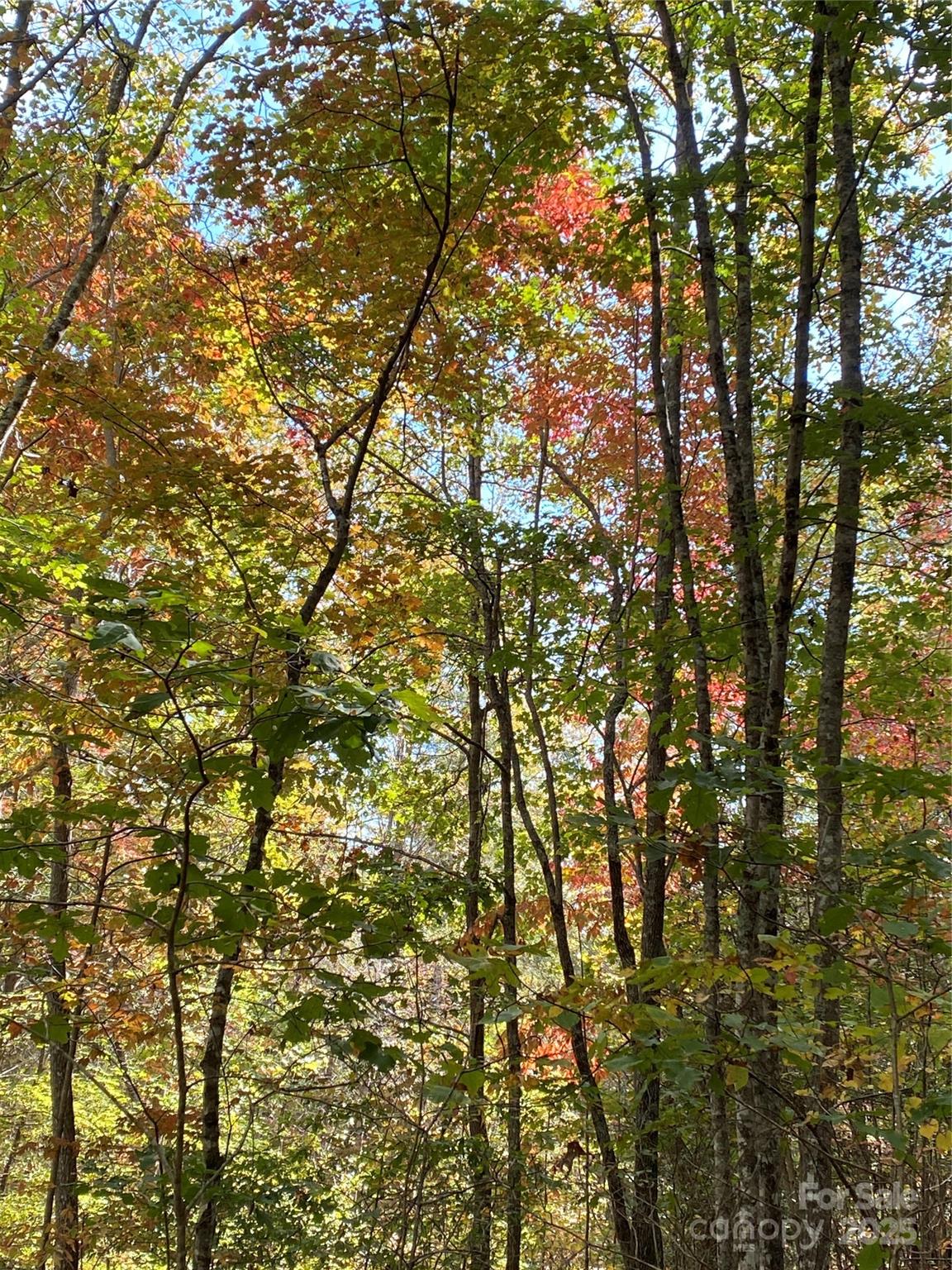 Highlands of Lake Lure - Land