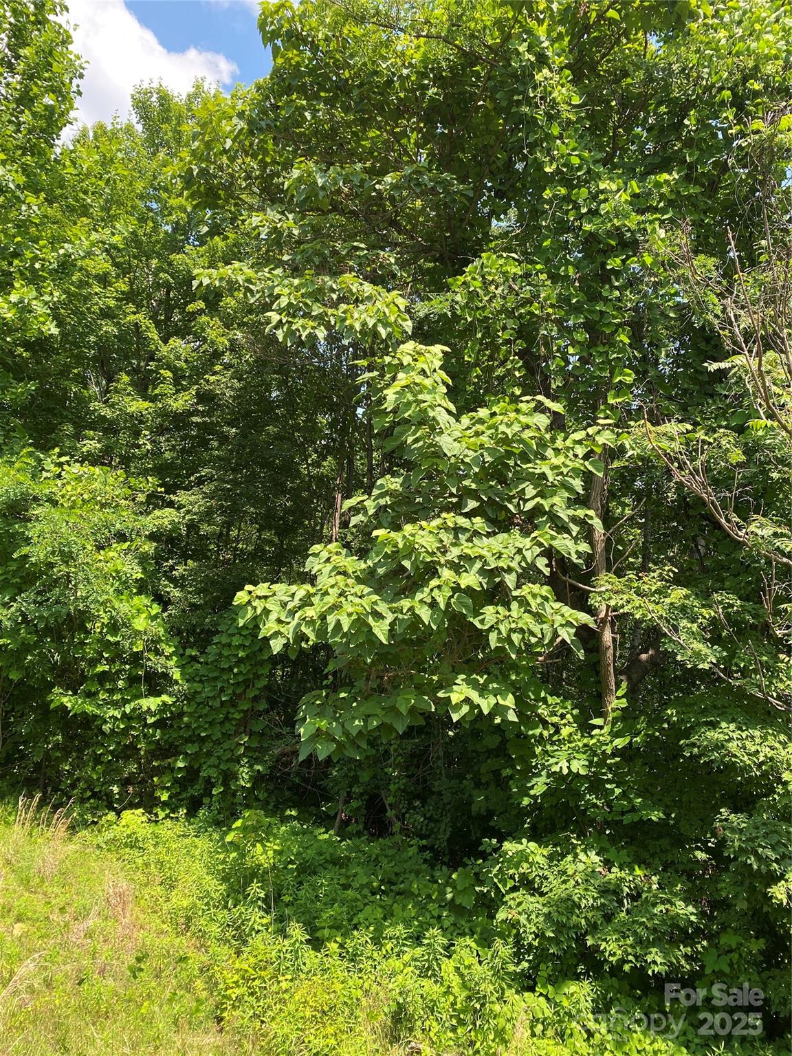 Highlands of Lake Lure - Land