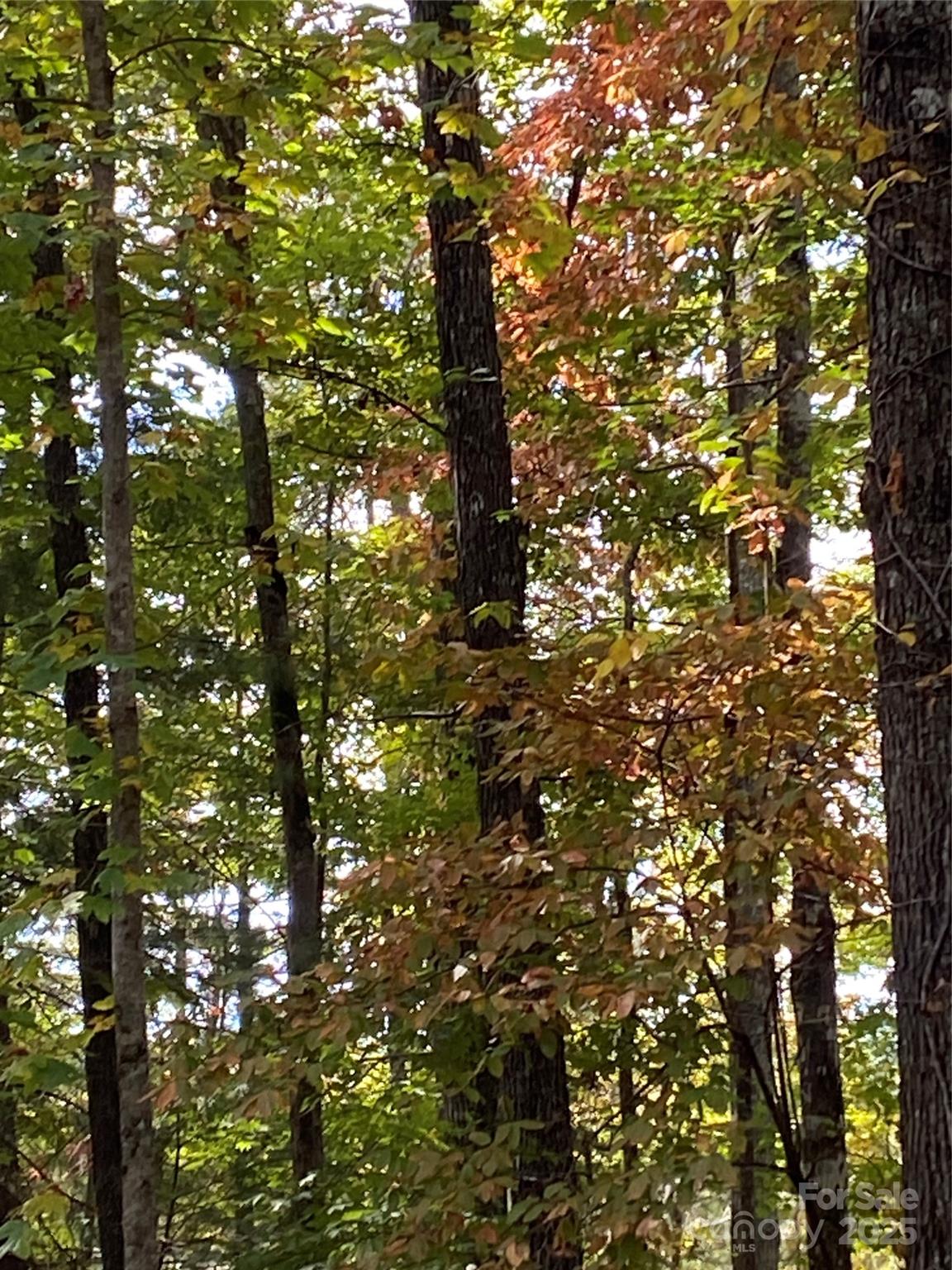Highlands of Lake Lure - Land