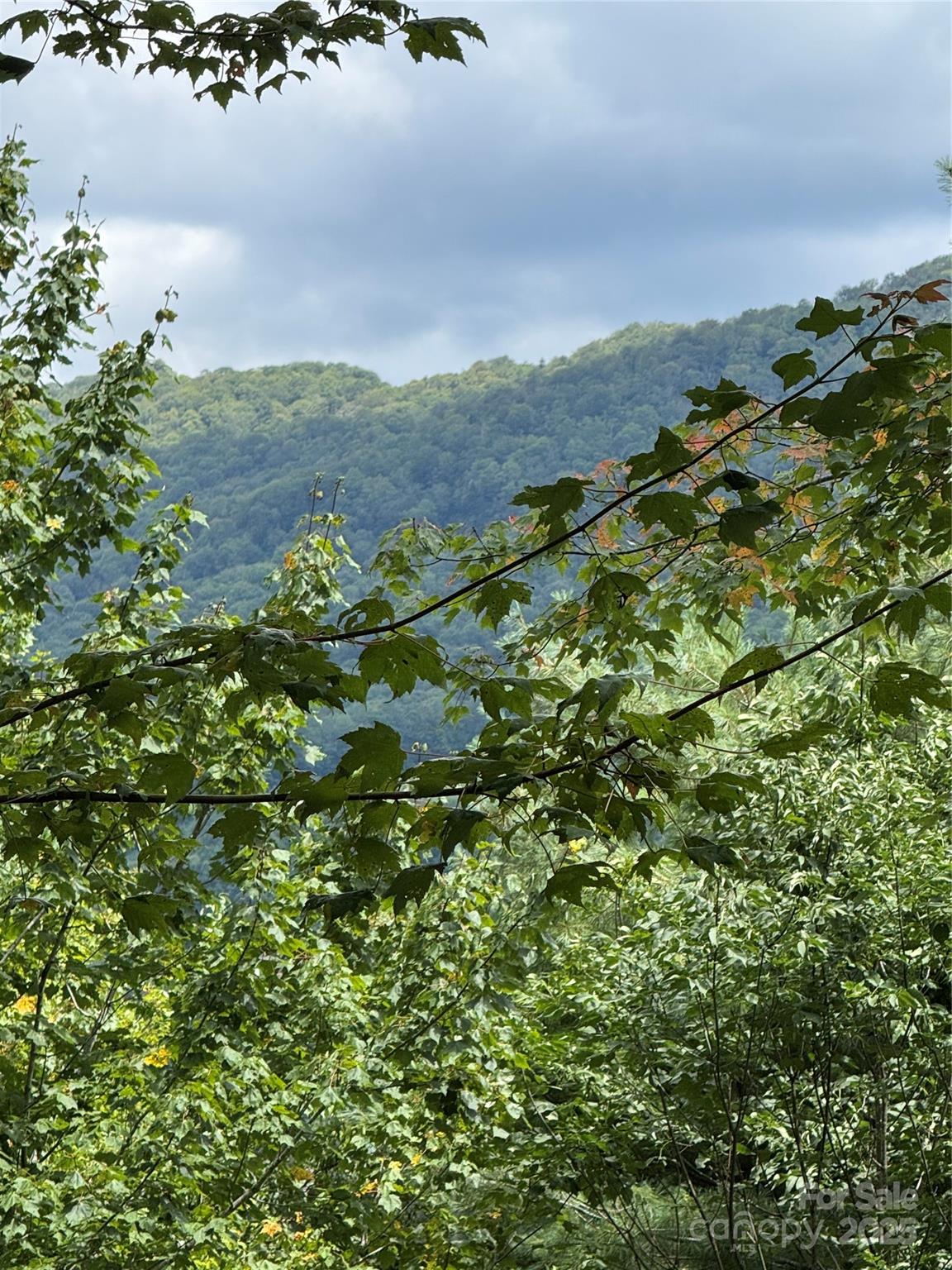 175 Ridgeview Road 2