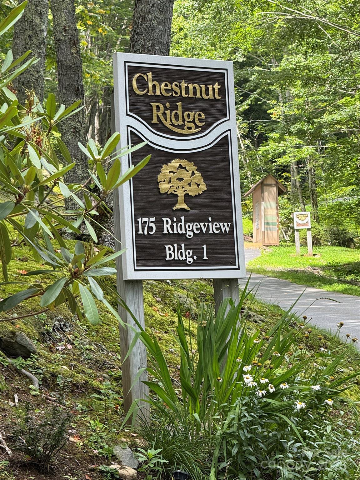Chestnut Ridge - Residential