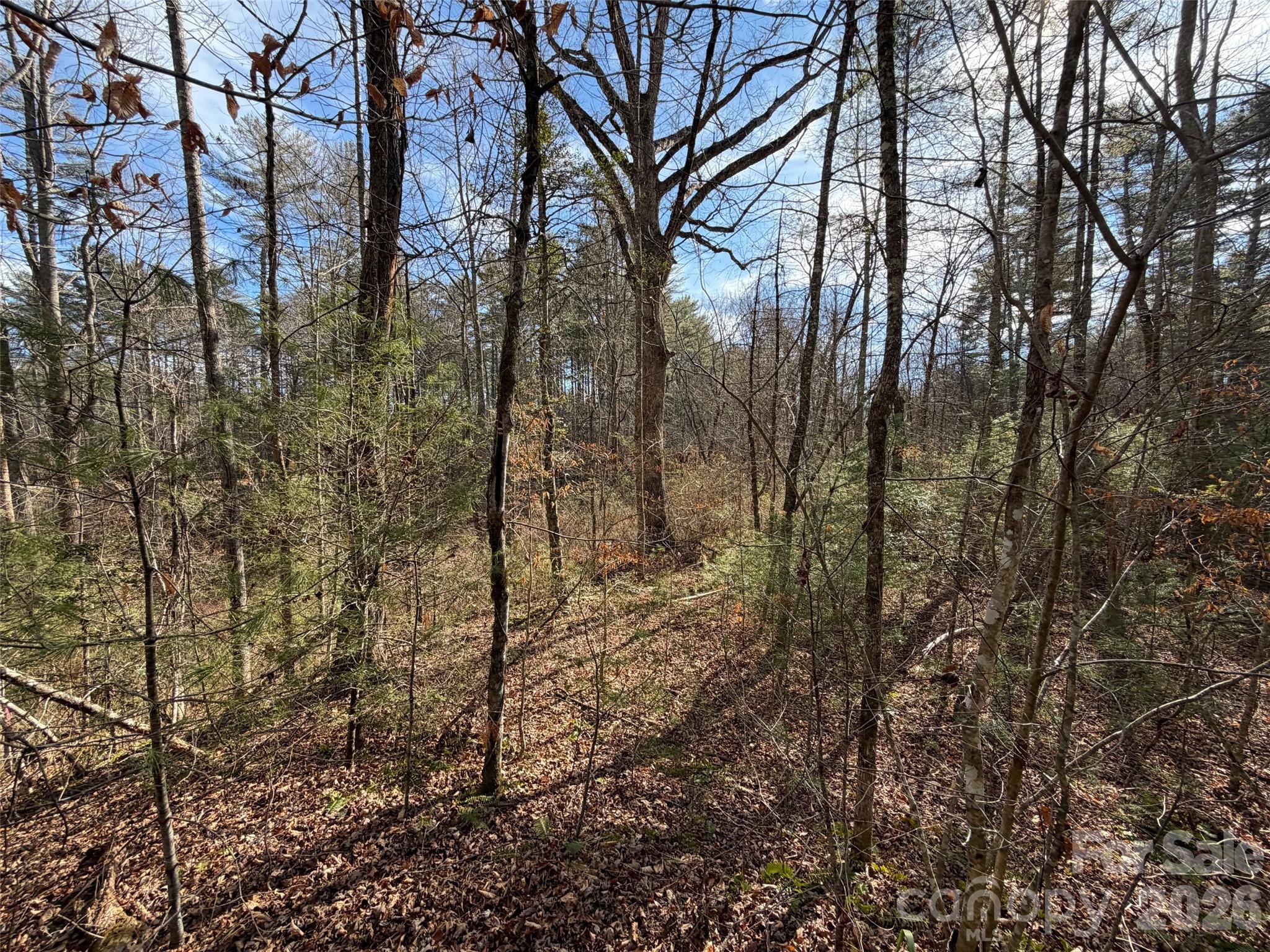 Mountain Brook - Land