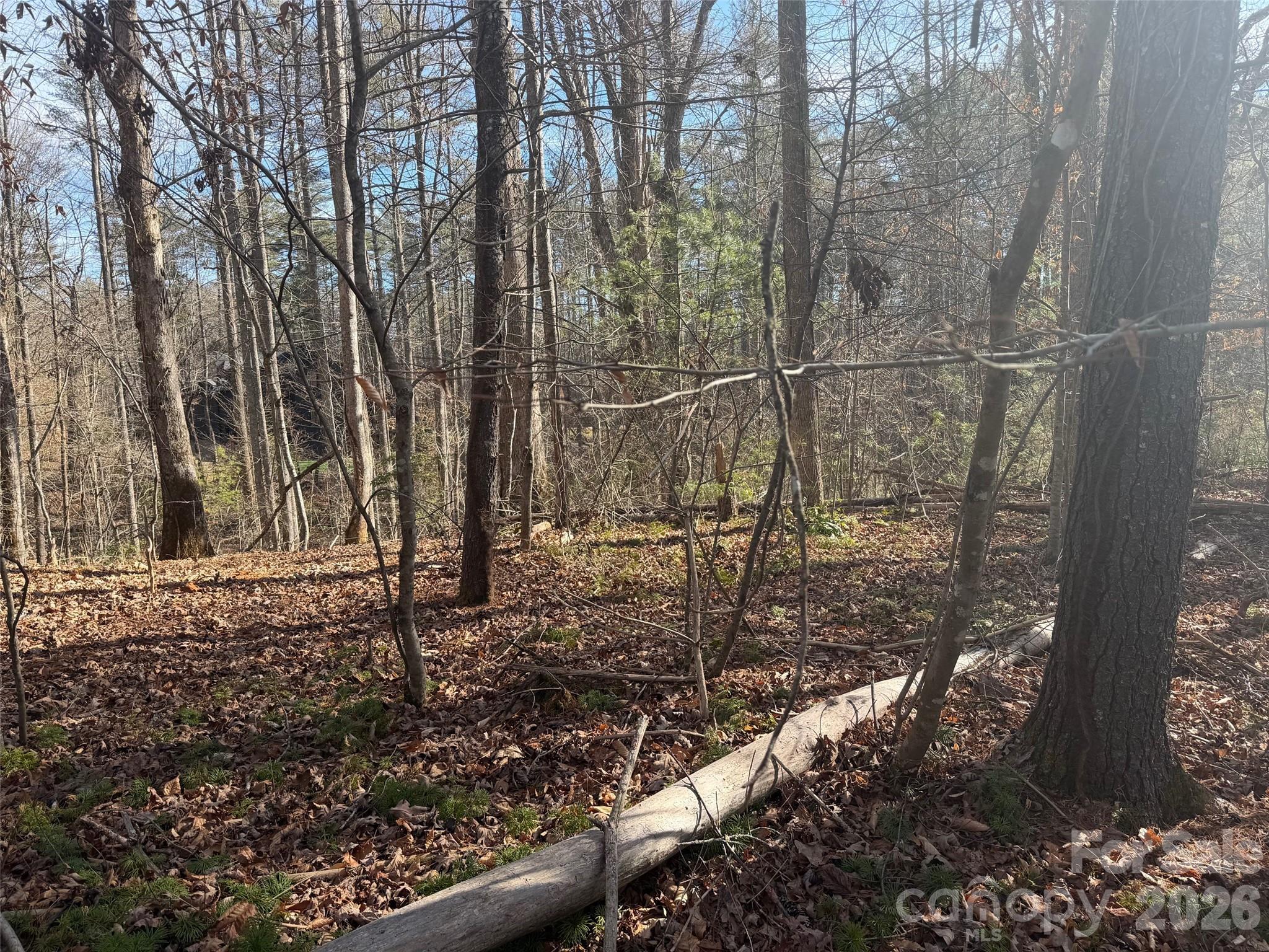 Mountain Brook - Land