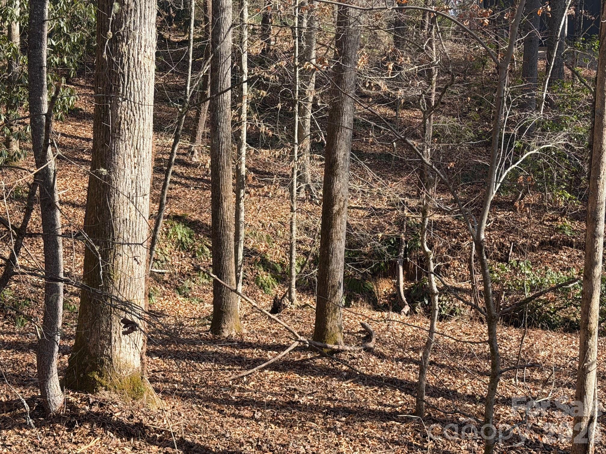 Mountain Brook - Land