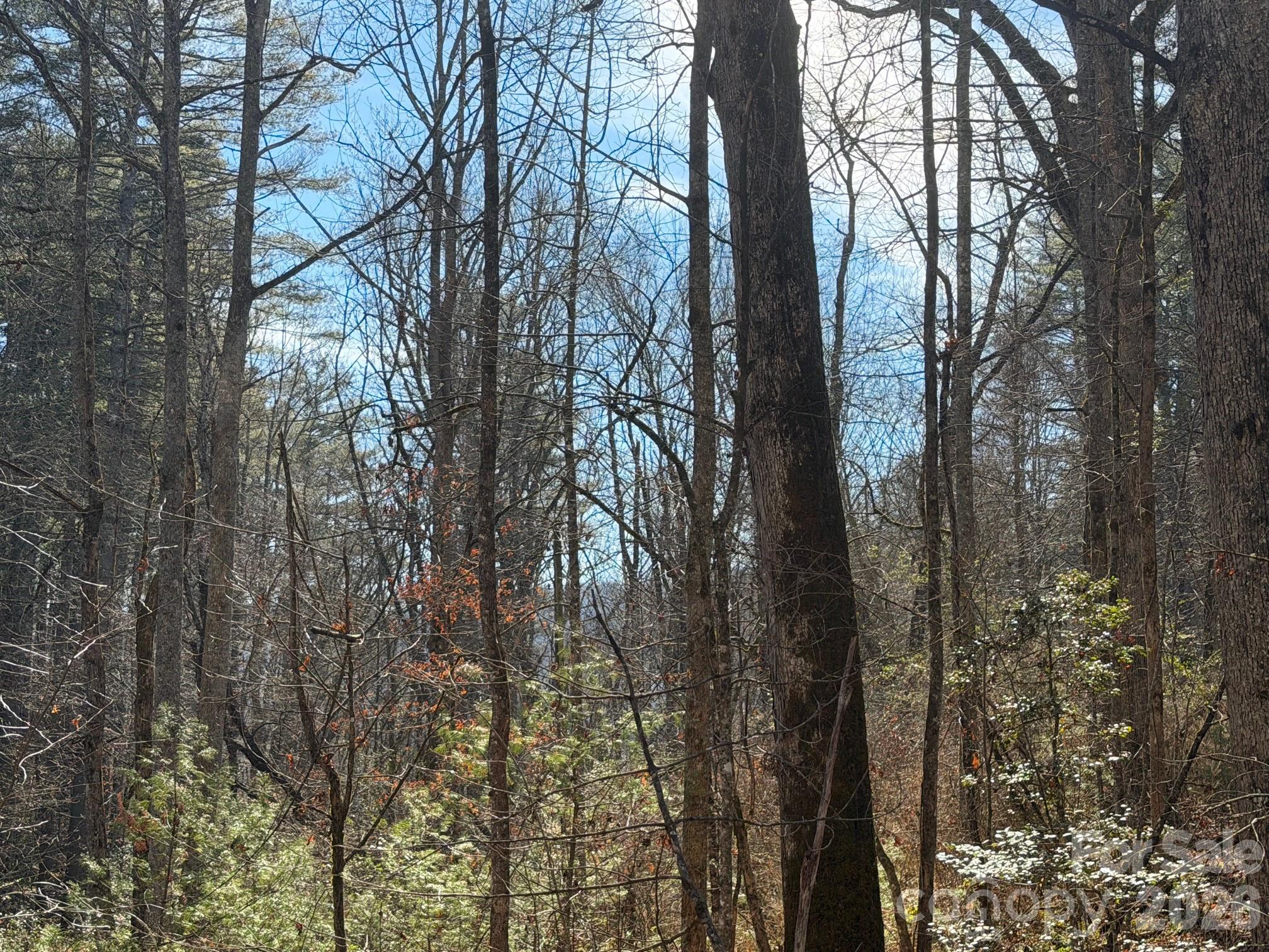 Mountain Brook - Land