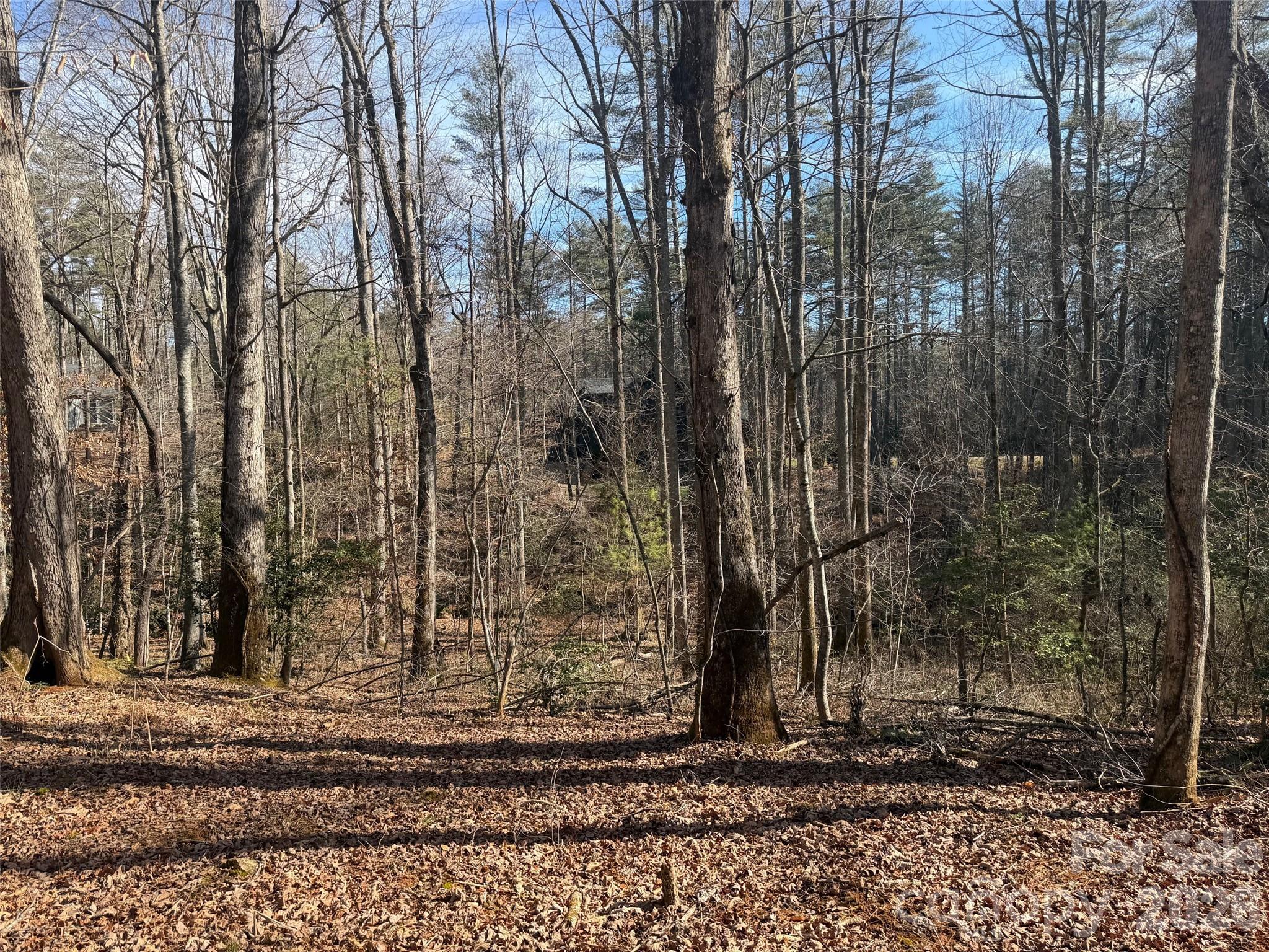 Lot 52 High Hemlock Trail 52