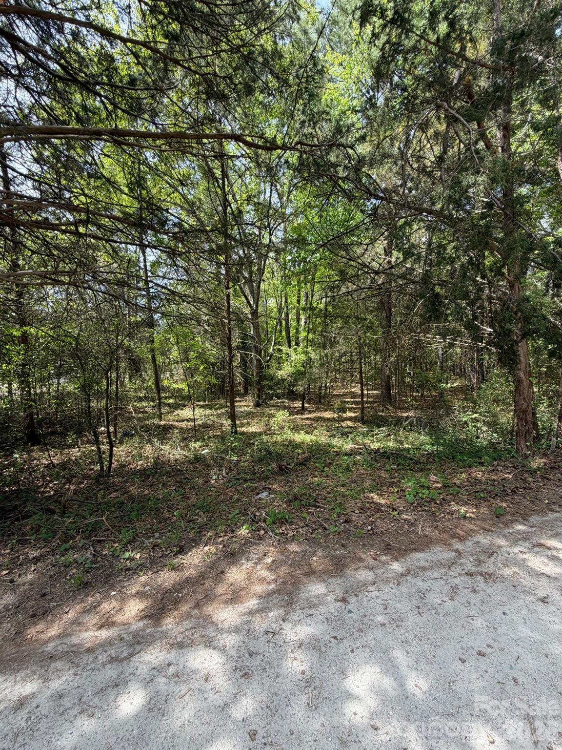 00 William Stevenson Road