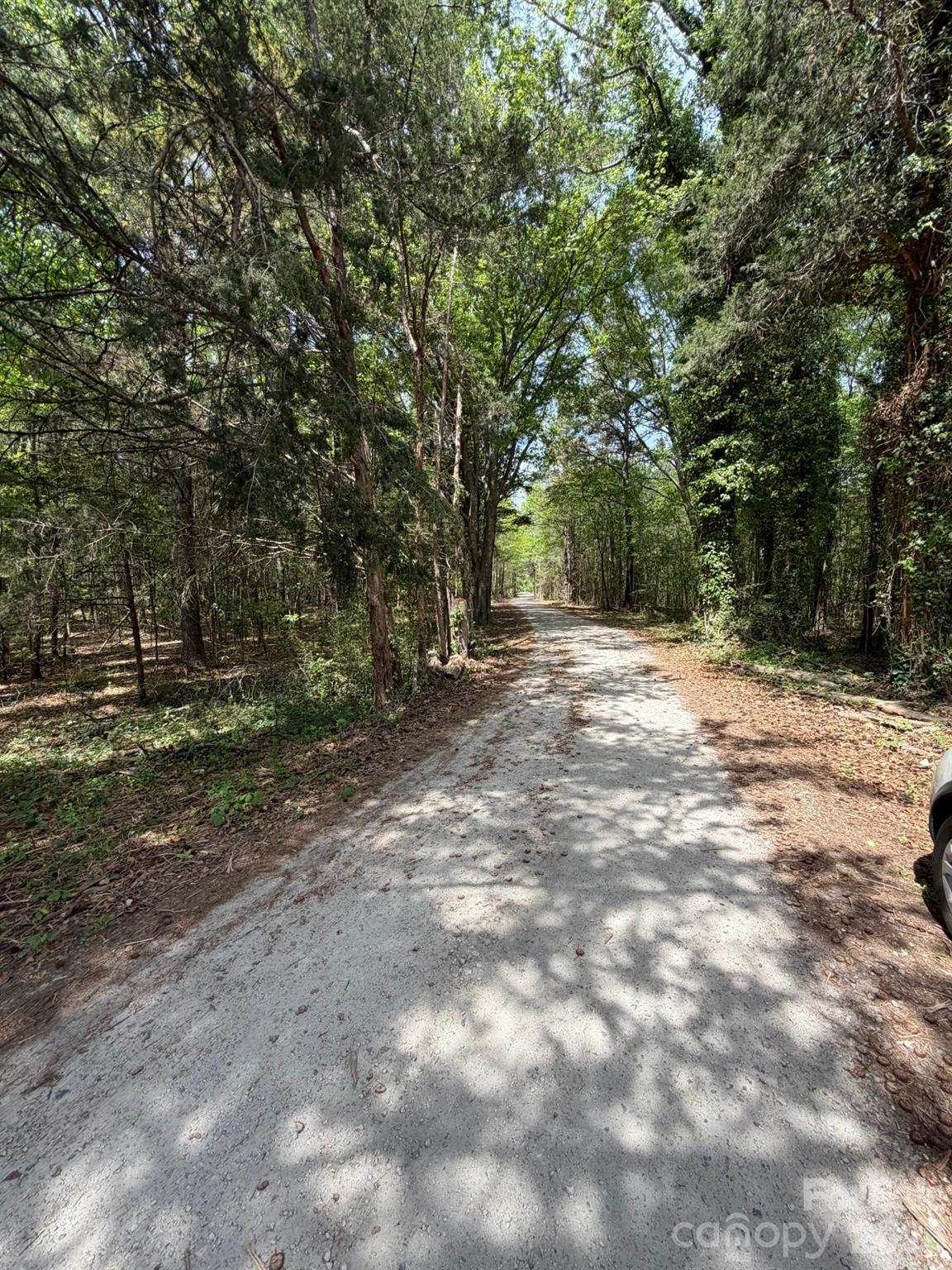 00 William Stevenson Road