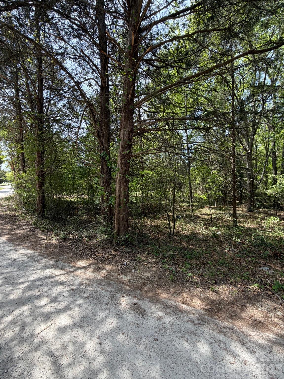 00 William Stevenson Road