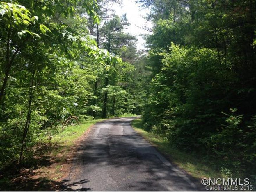 What a price - 4 acres in an extremely small and private subdivision.  Build your dream home in a super secluded neighborhood located close to charming downtown Weaverville - or for Walmart Shoppers, just a hop skip and a jump away.  Or skip Walmart and hop onto Hwy 19/23 to downtown Asheville in less than 15 minutes.  The choice is yours!