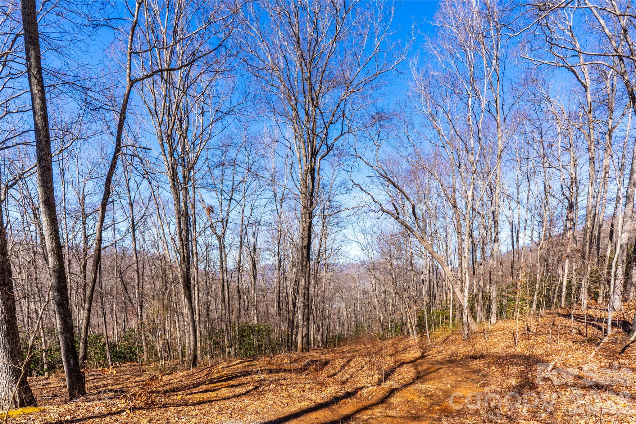 1248 Arborcrest Way 46