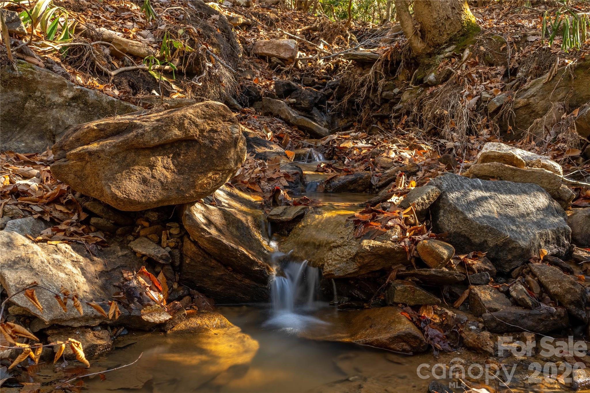 1248 Arborcrest Way 46