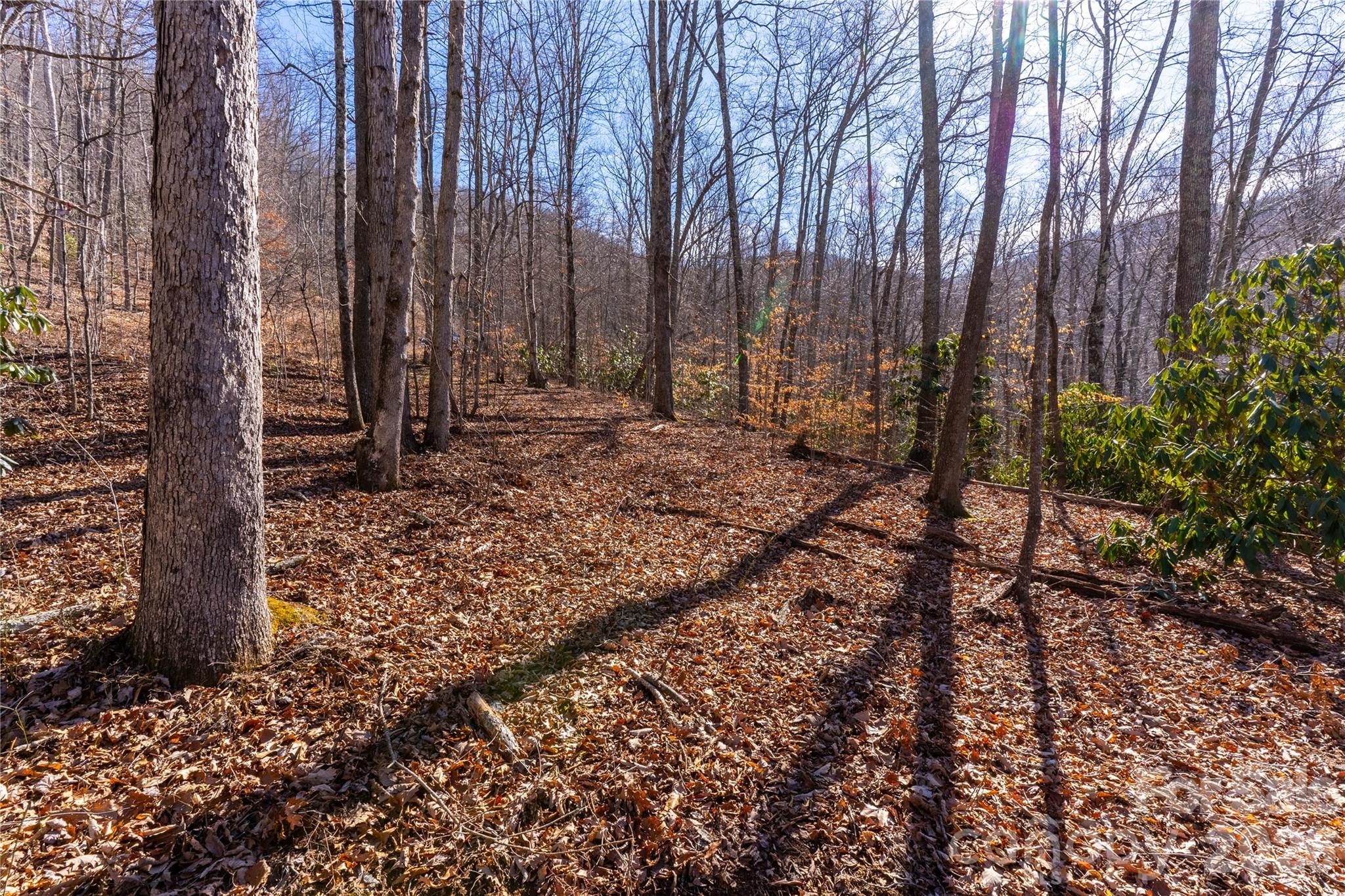 1248 Arborcrest Way 46