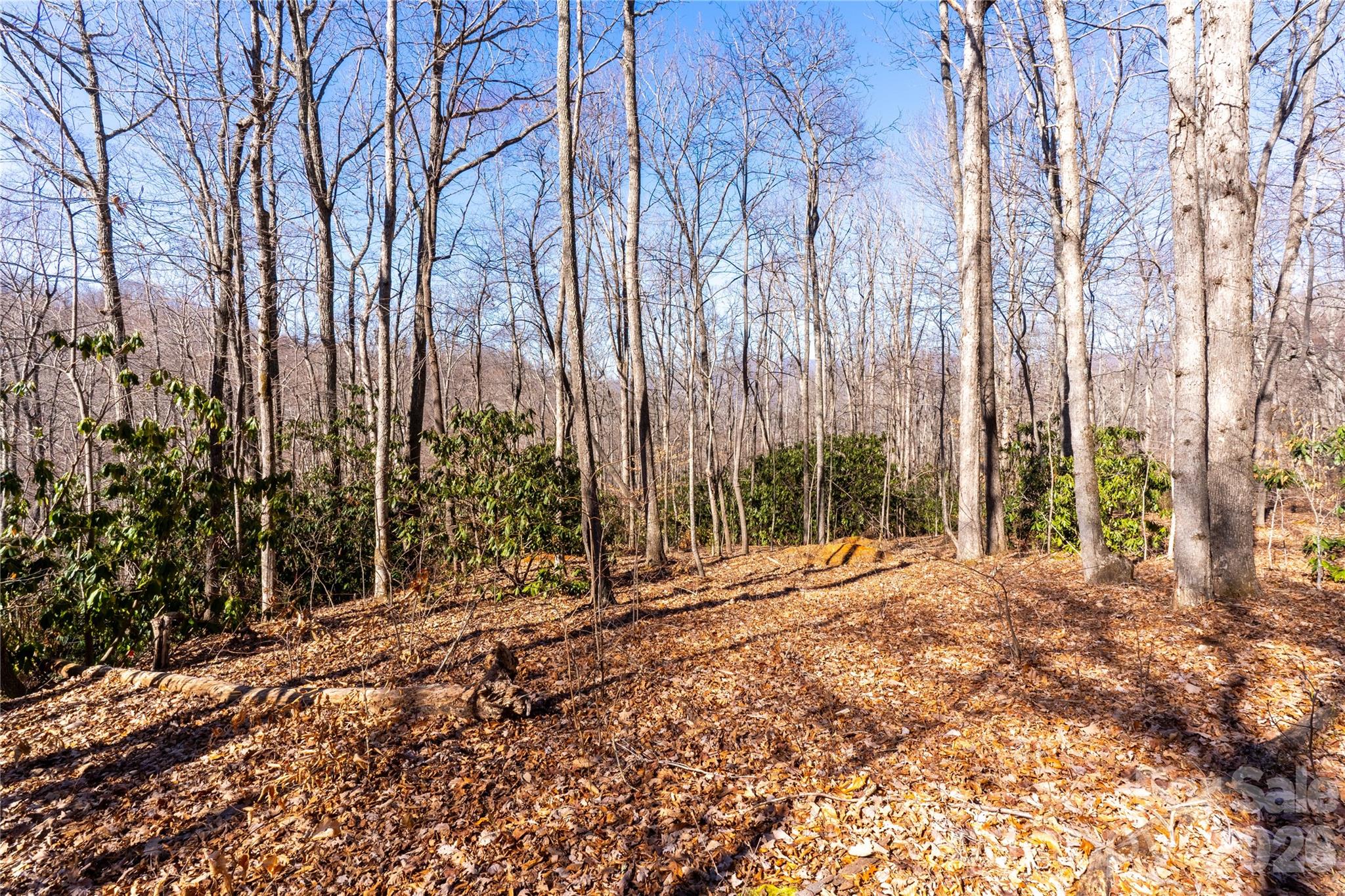 1248 Arborcrest Way 46