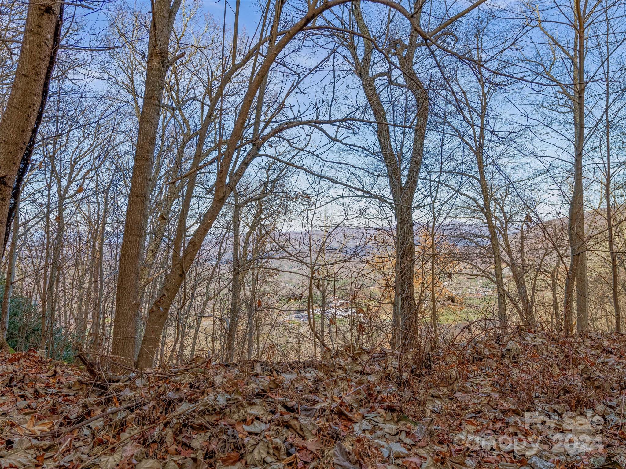 Ridgeview Estates - Land