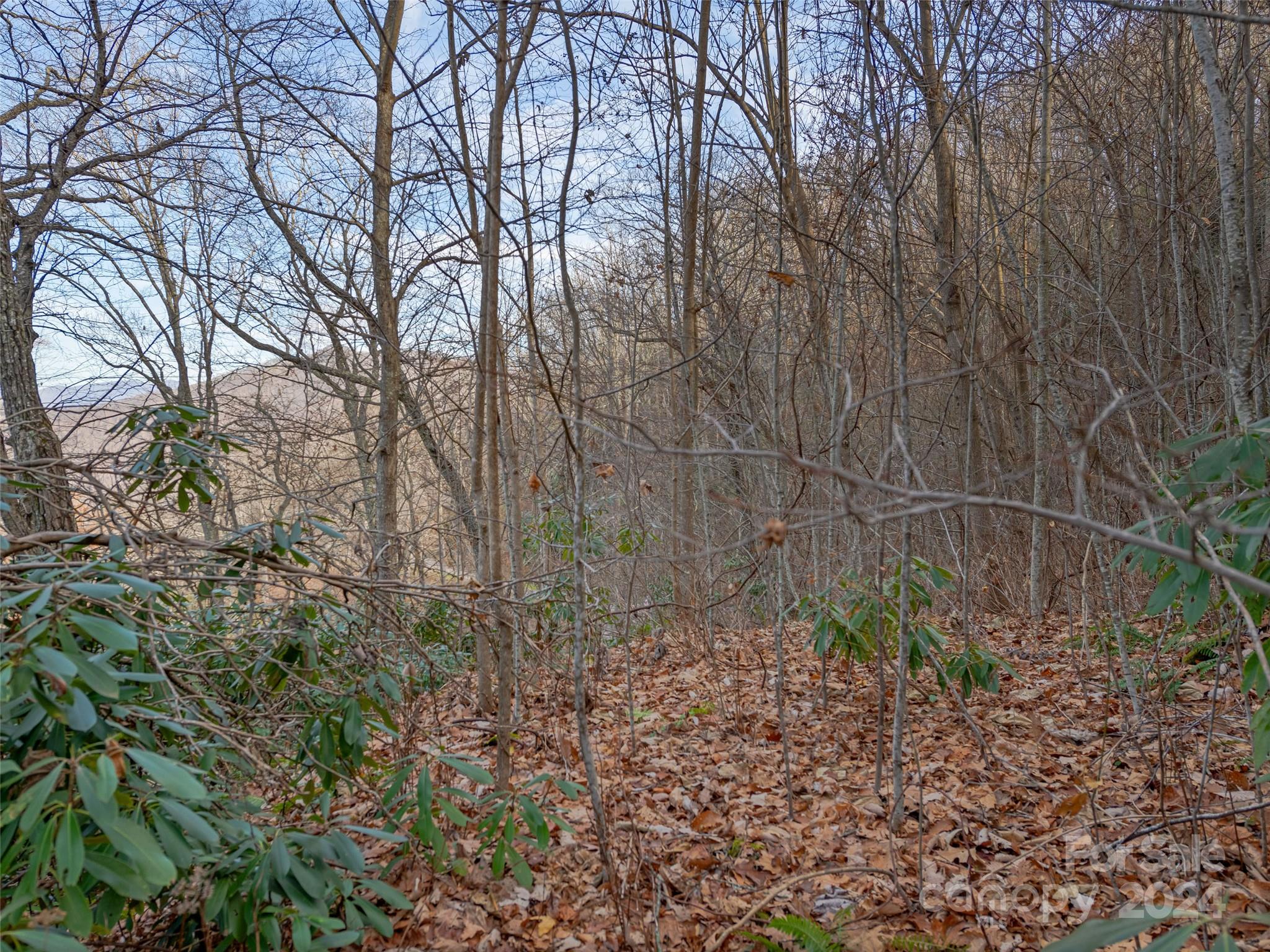 Ridgeview Estates - Land