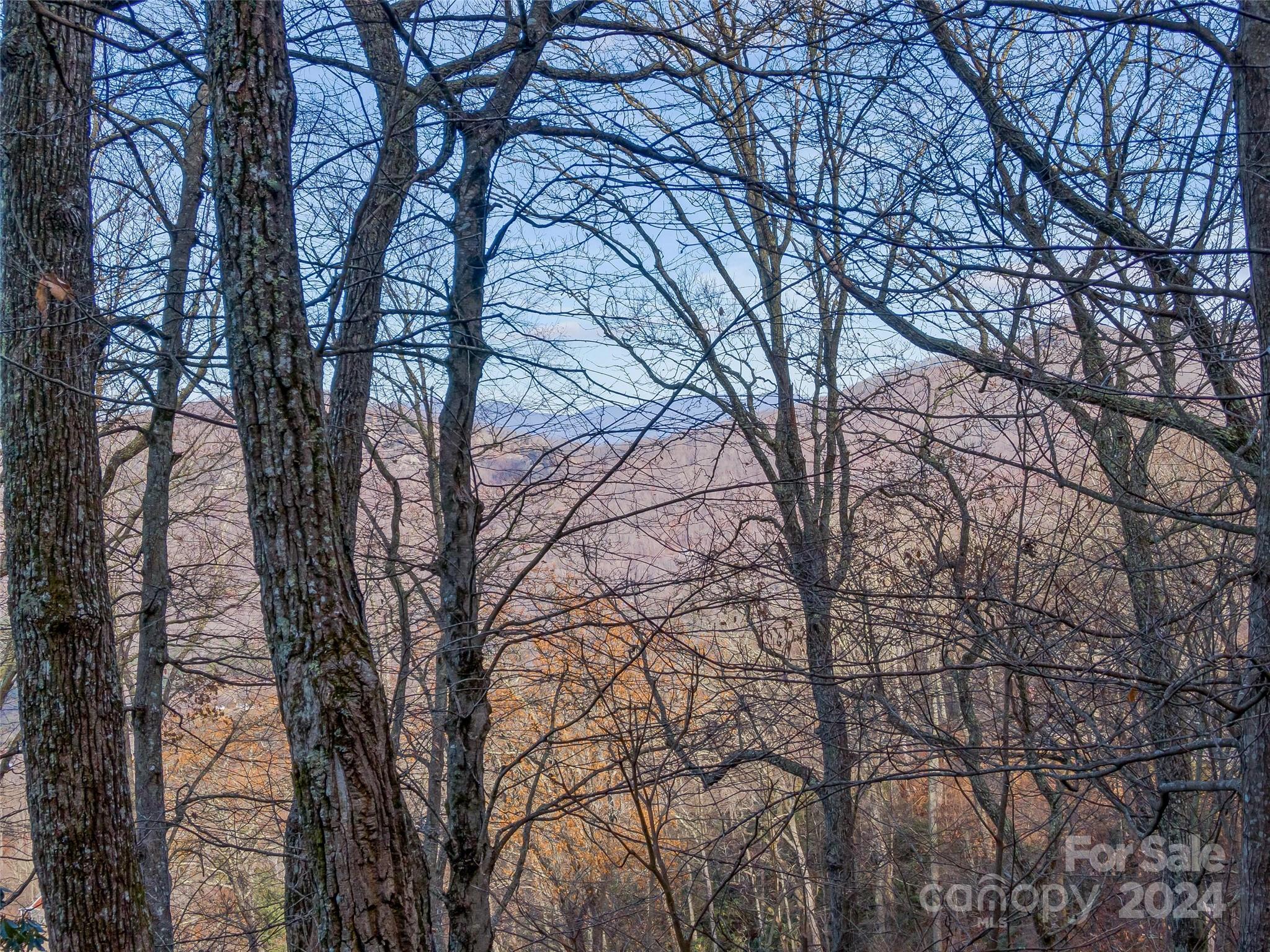 Ridgeview Estates - Land