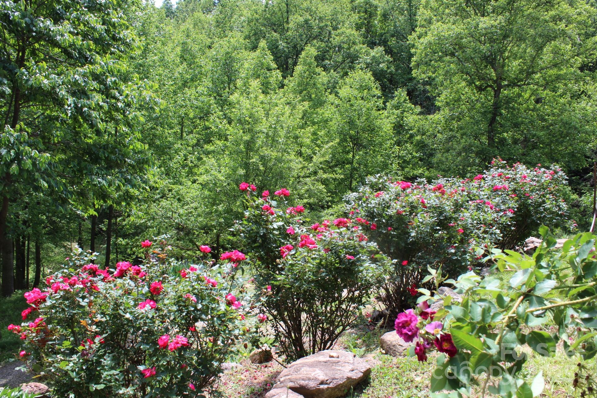 337 Roberson School Road
