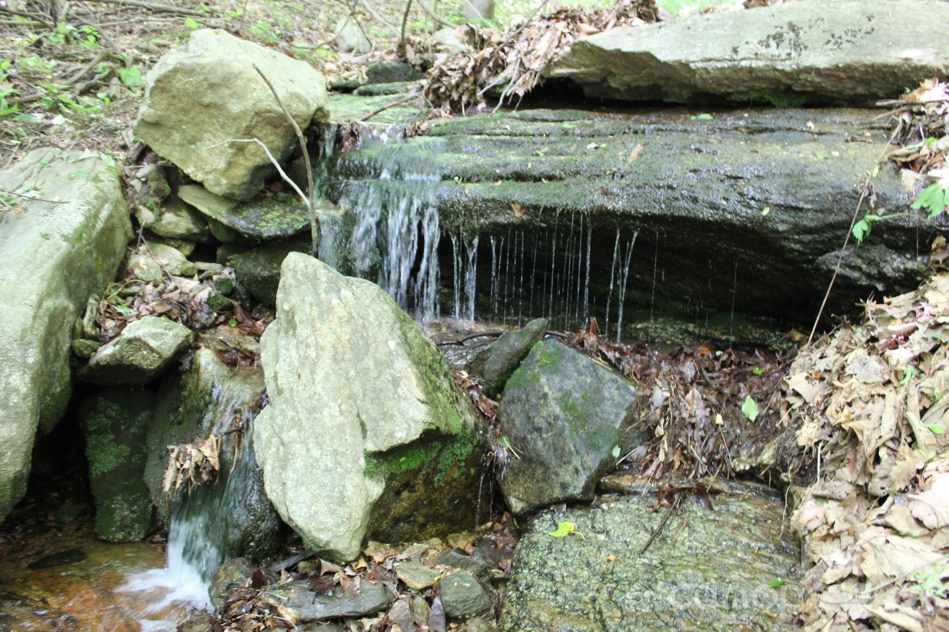 337 Roberson School Road